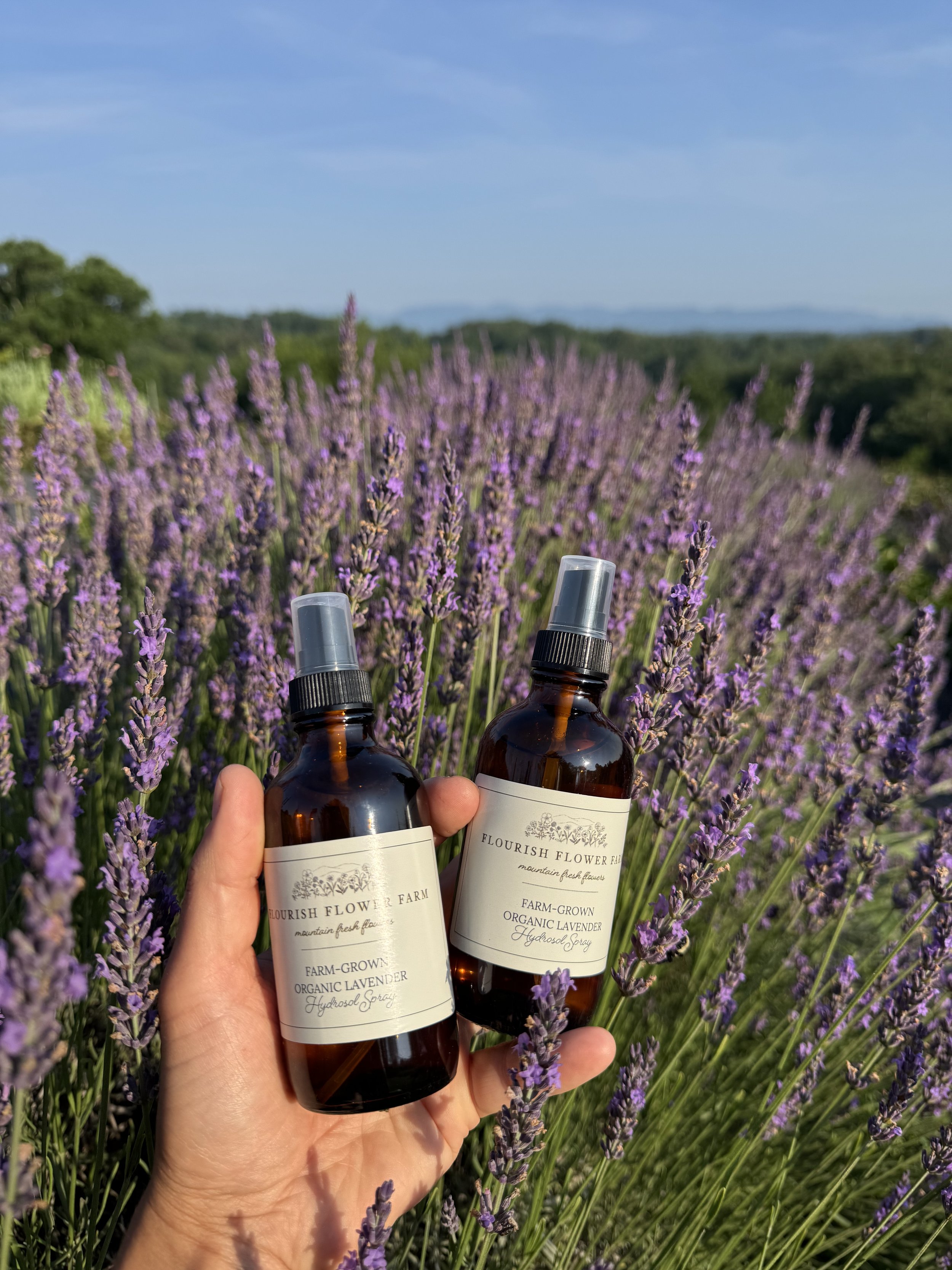 June, homemade lavender spray.jpeg