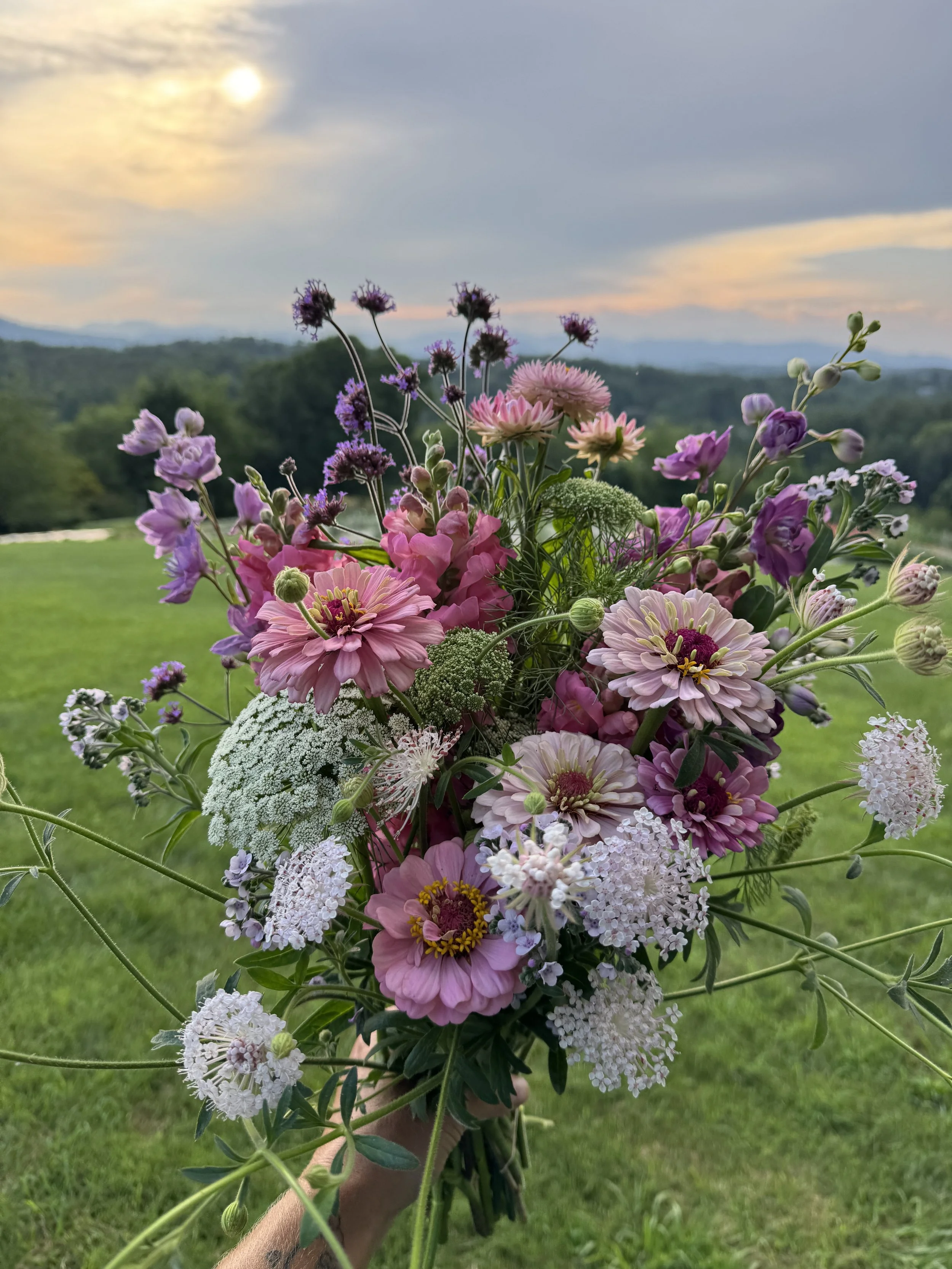 June, lovely variety of flowers.jpeg