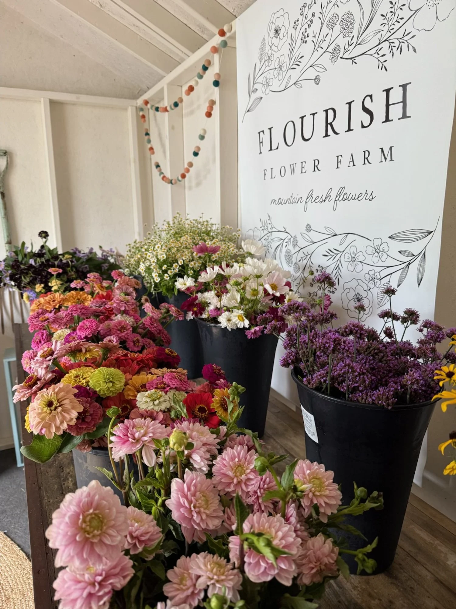 July, build a bouquet at the farmstand.jpeg