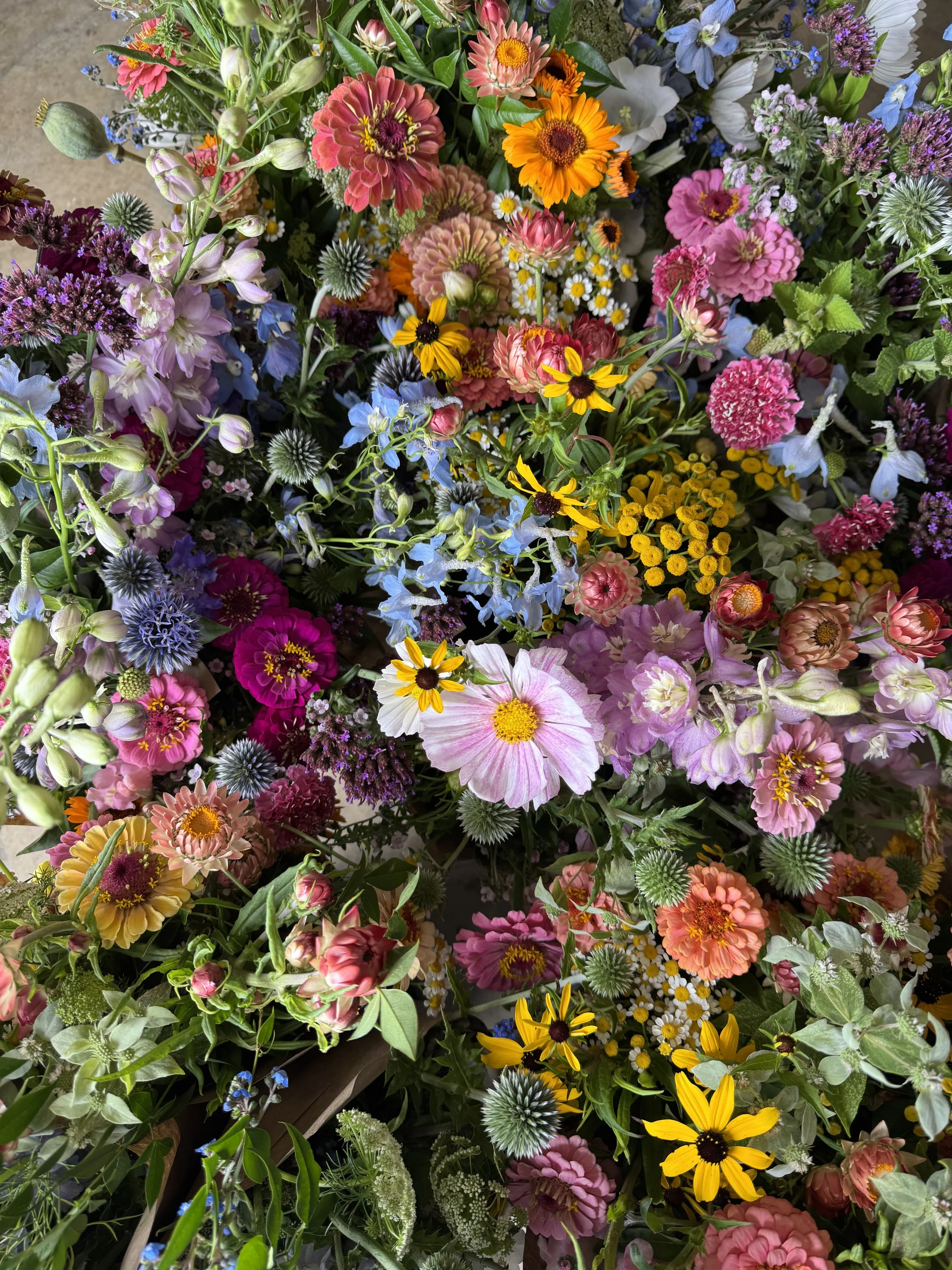 July, colorful bouquets.jpeg