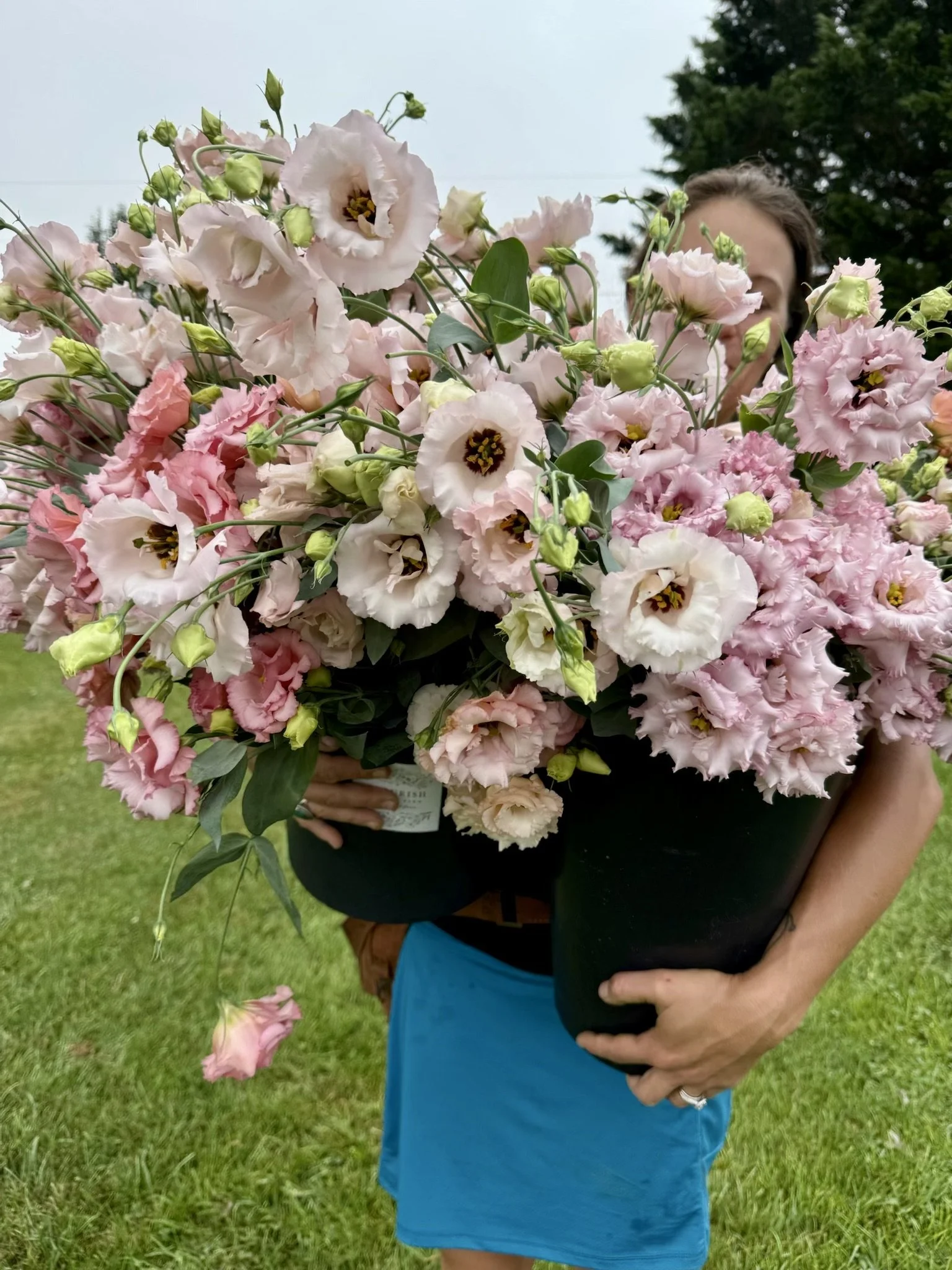 July, lisianthus harvest.jpeg