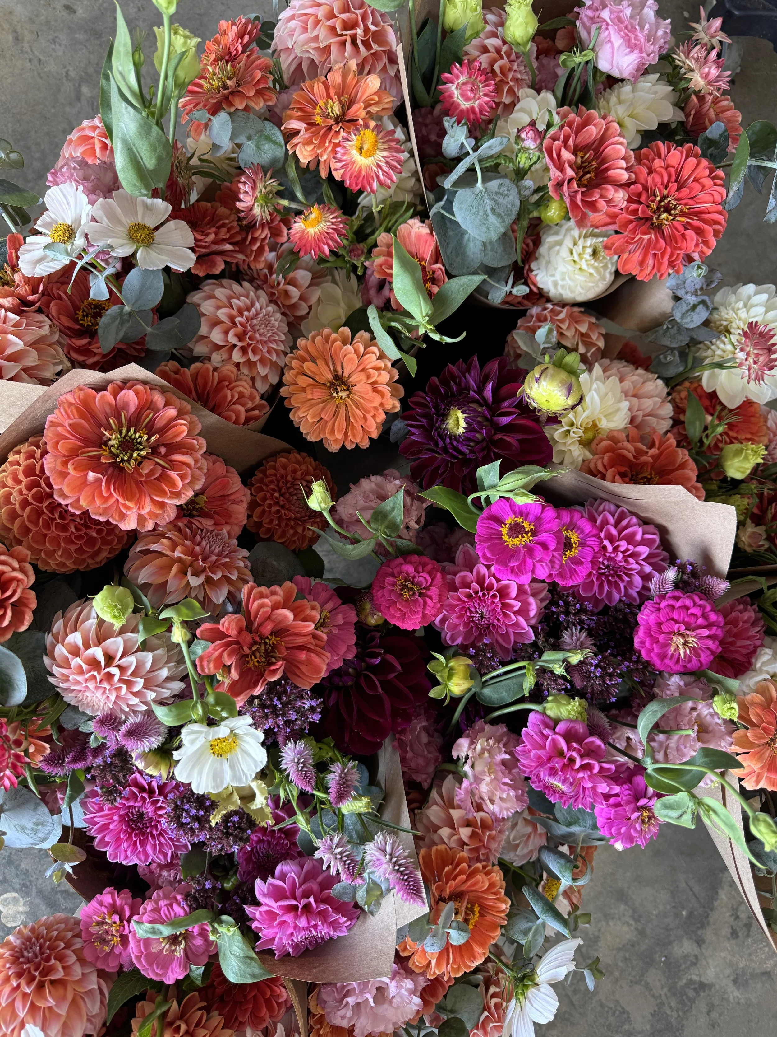 Sept bouquets.jpeg