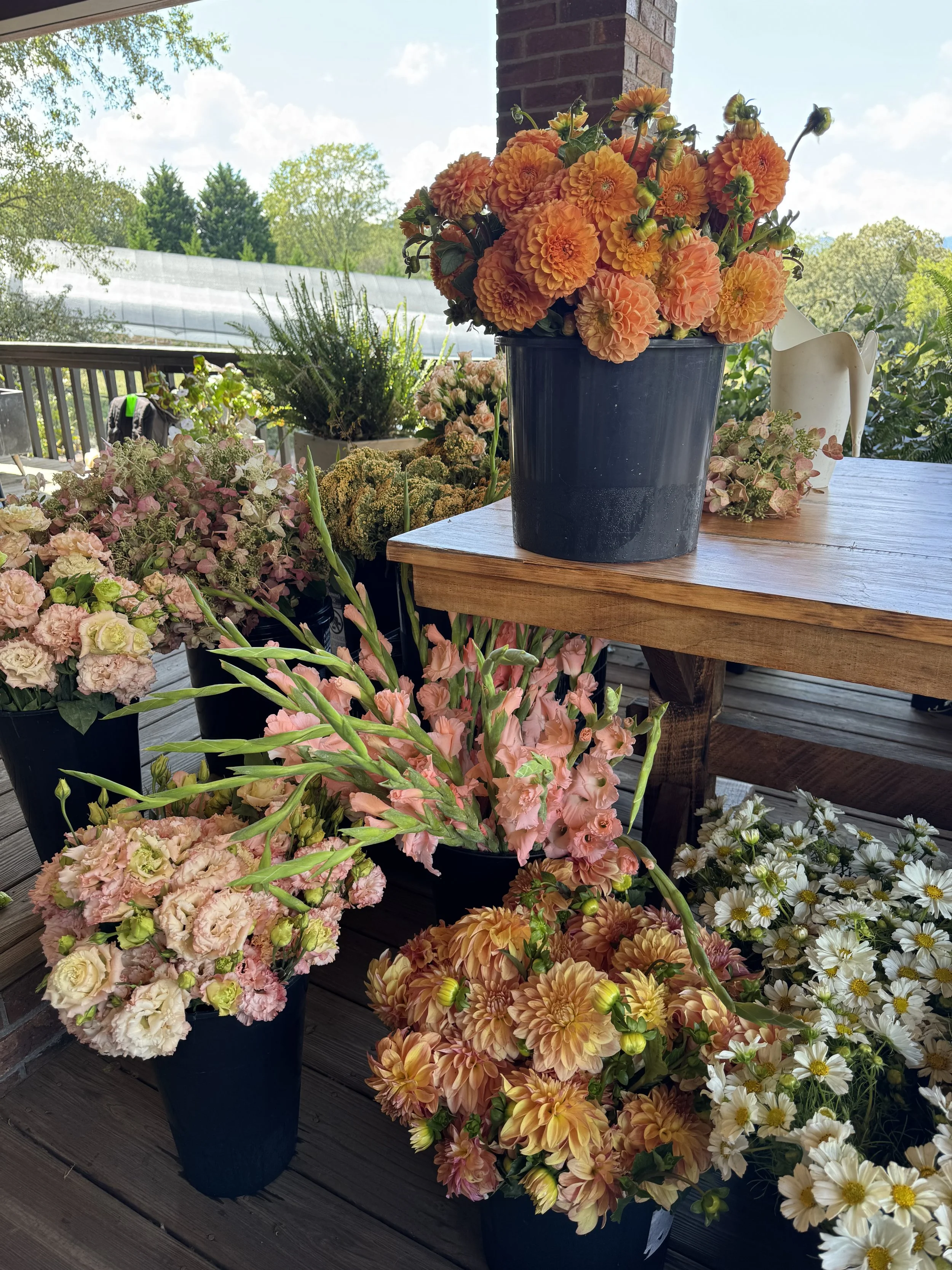 Sept, de flowers.jpeg