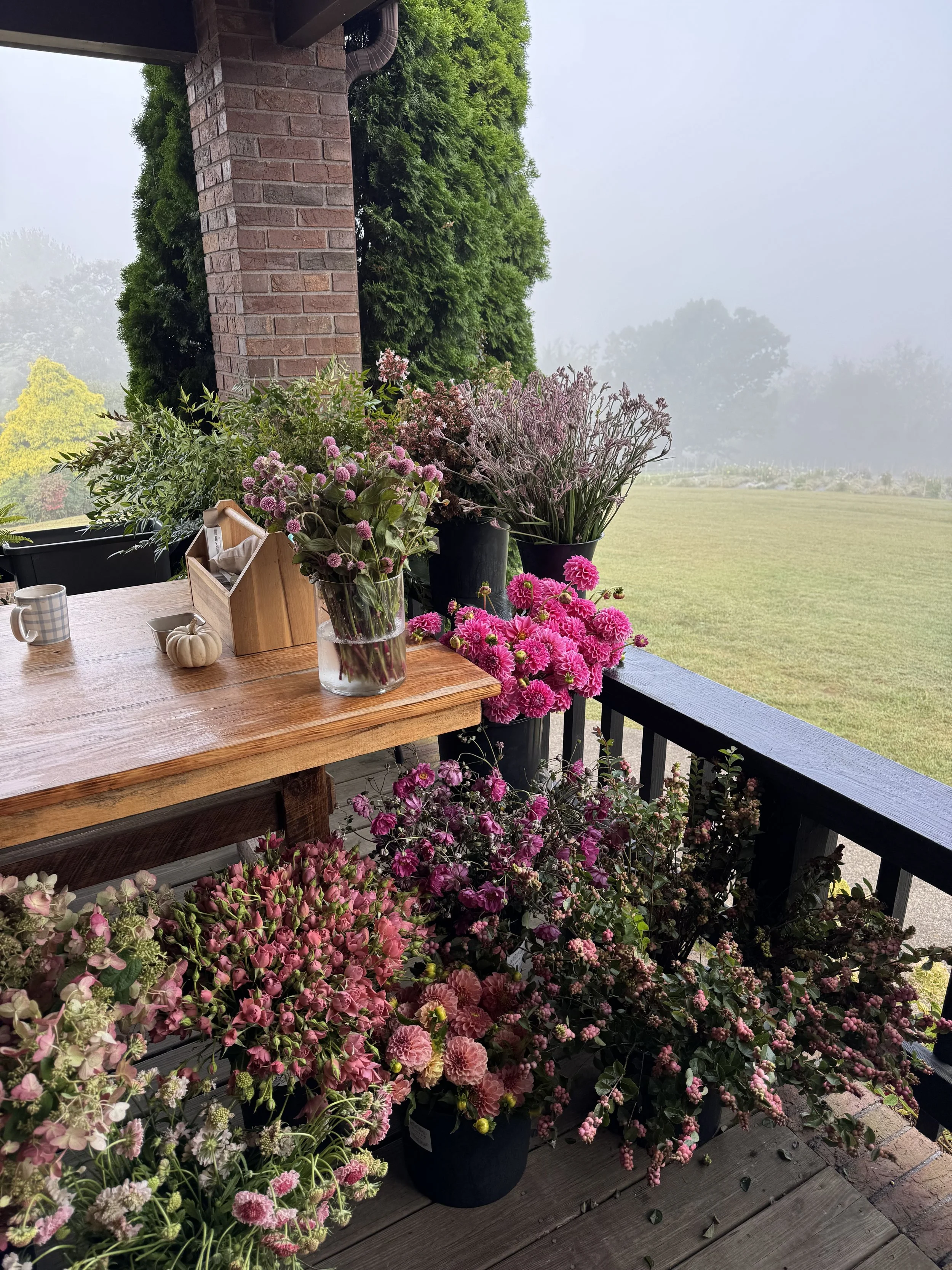 Sept, design essentials.jpeg