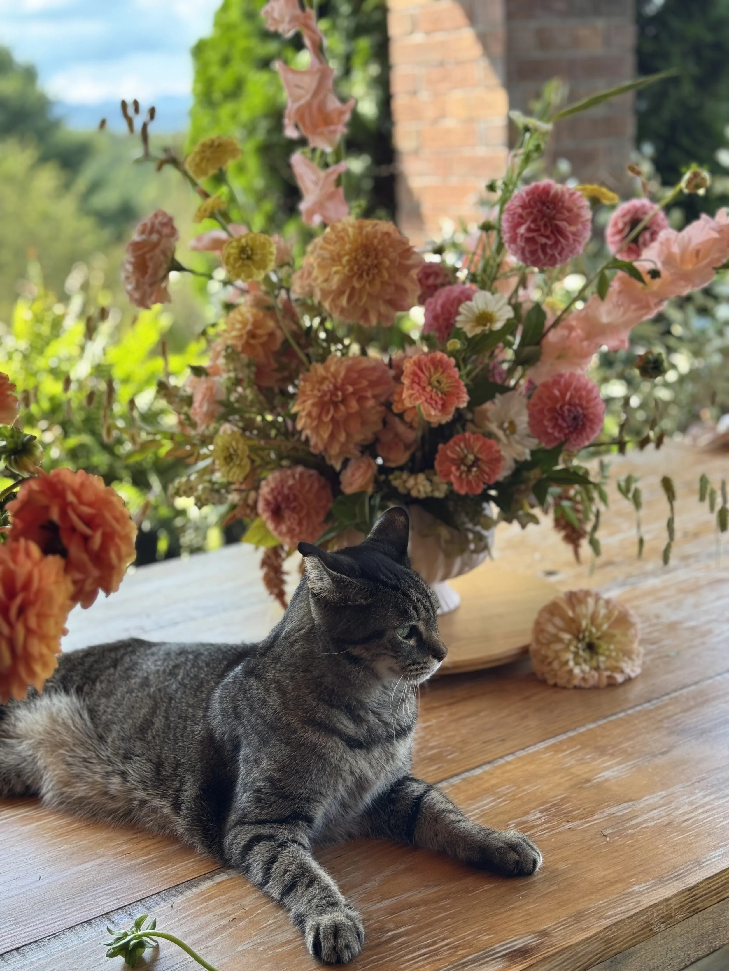 Sept, Norman with demo statement arrangement.jpeg