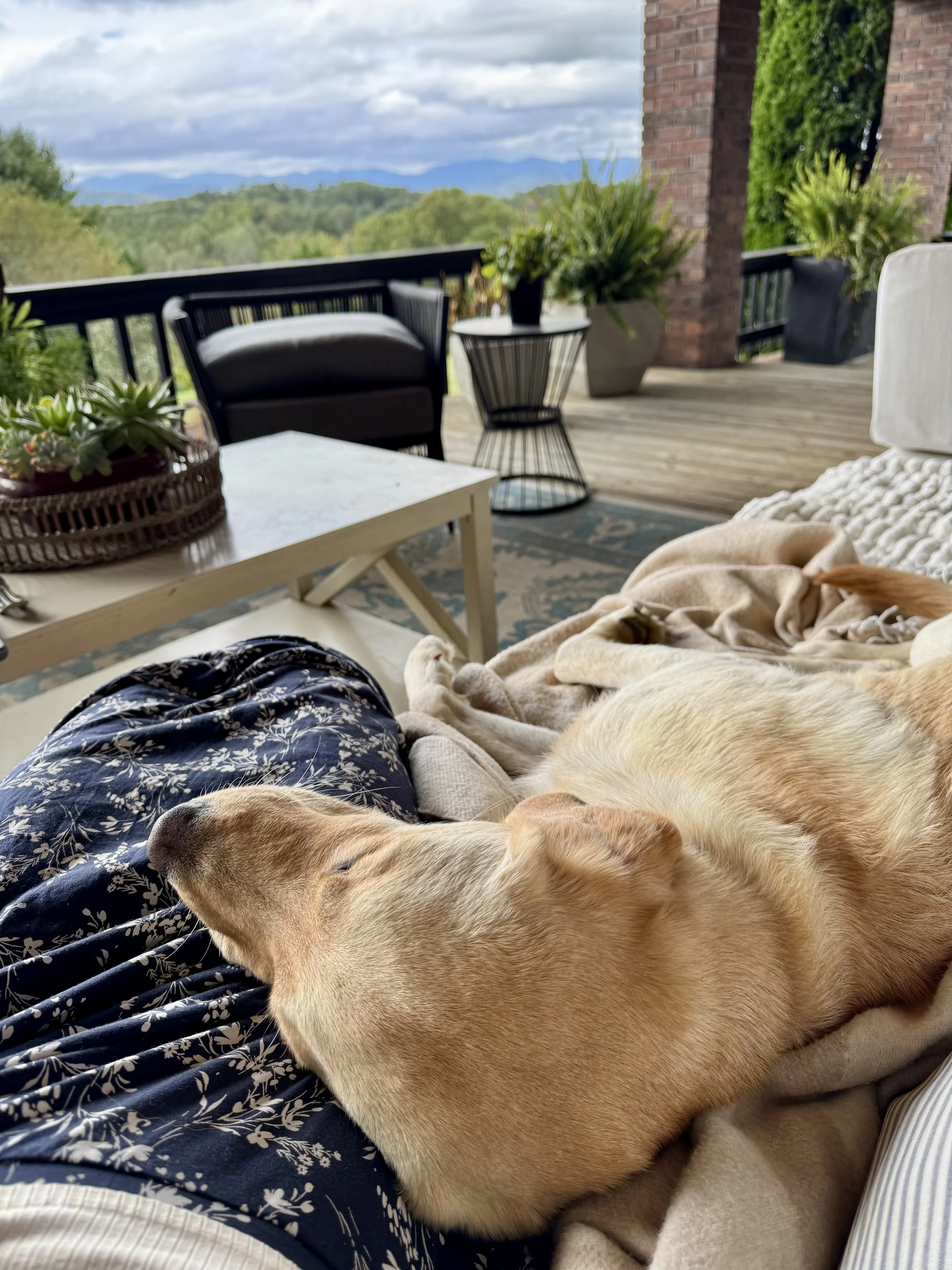 Oct, porch naps.jpeg