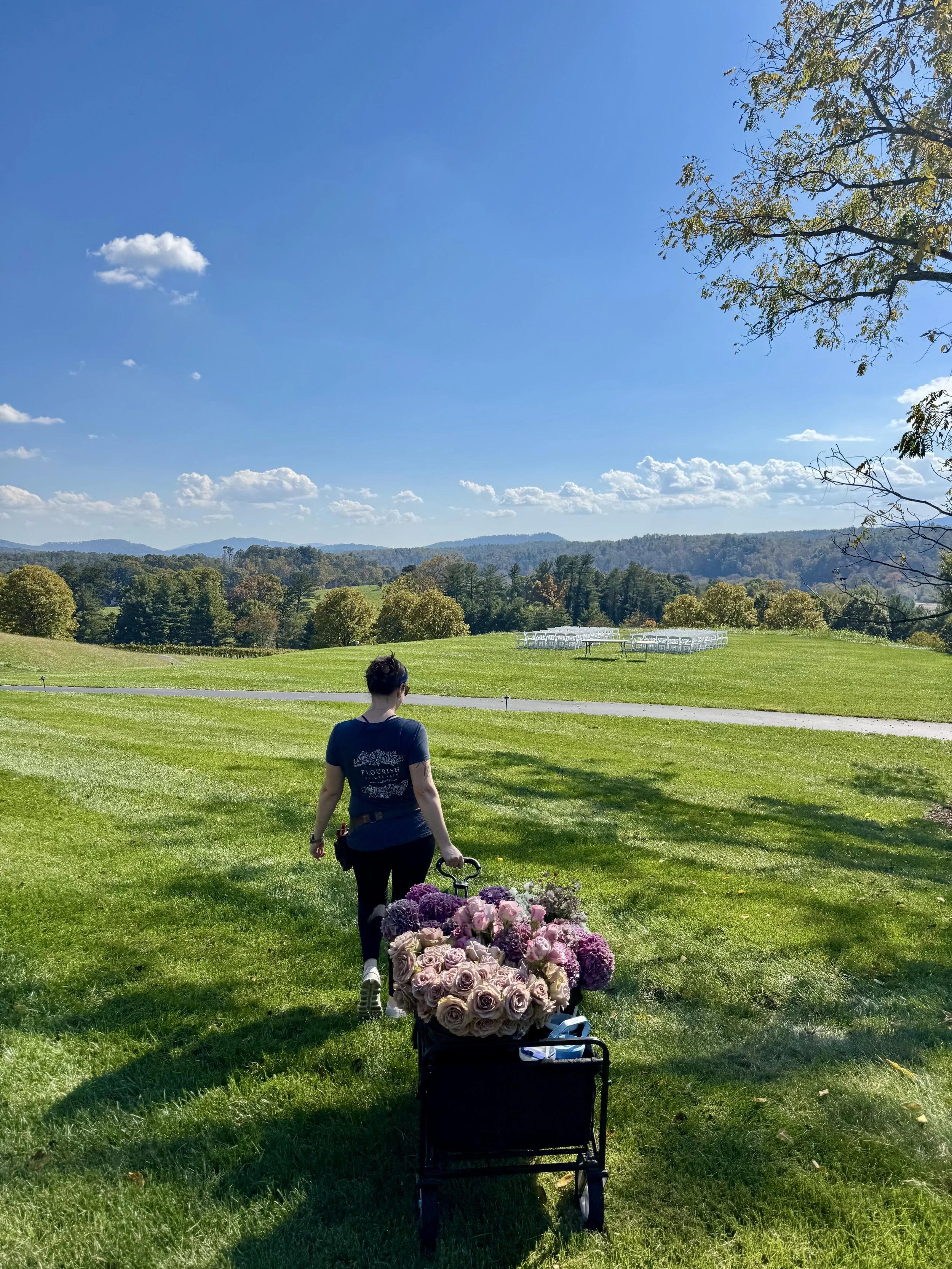 Oct, weddign work.jpeg