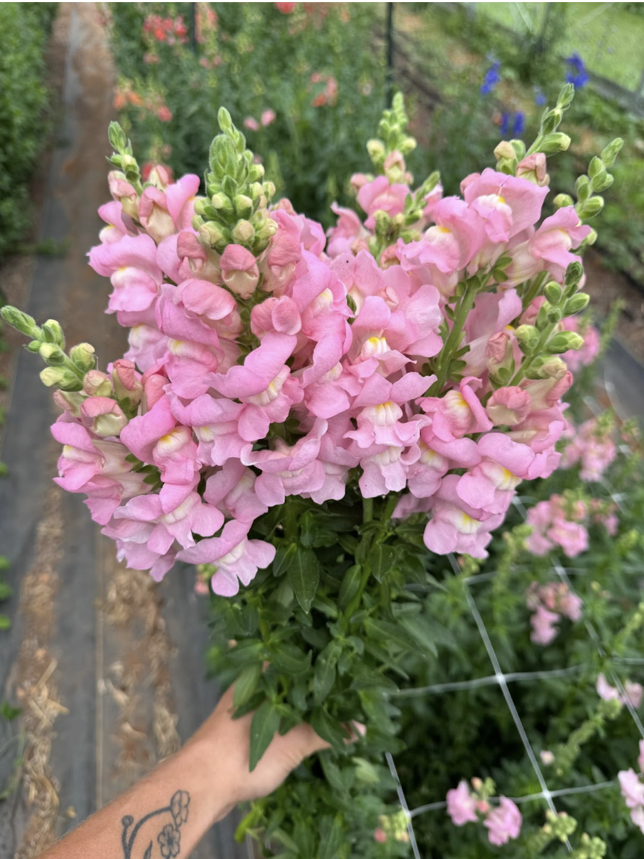 Screenshot 2026-02-24 at 1.35.58 PM.png