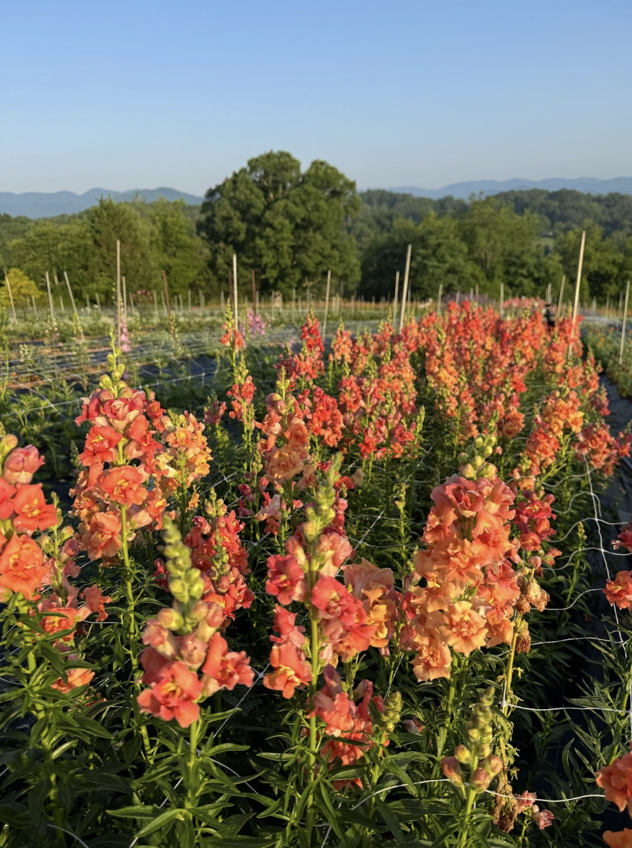 Screenshot 2026-02-24 at 1.36.54 PM.png