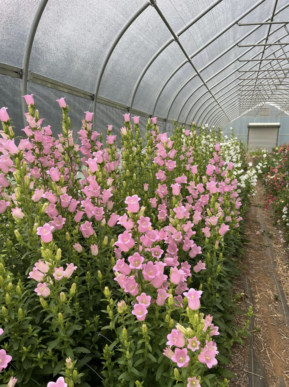 Screenshot 2026-02-24 at 1.40.31 PM.png