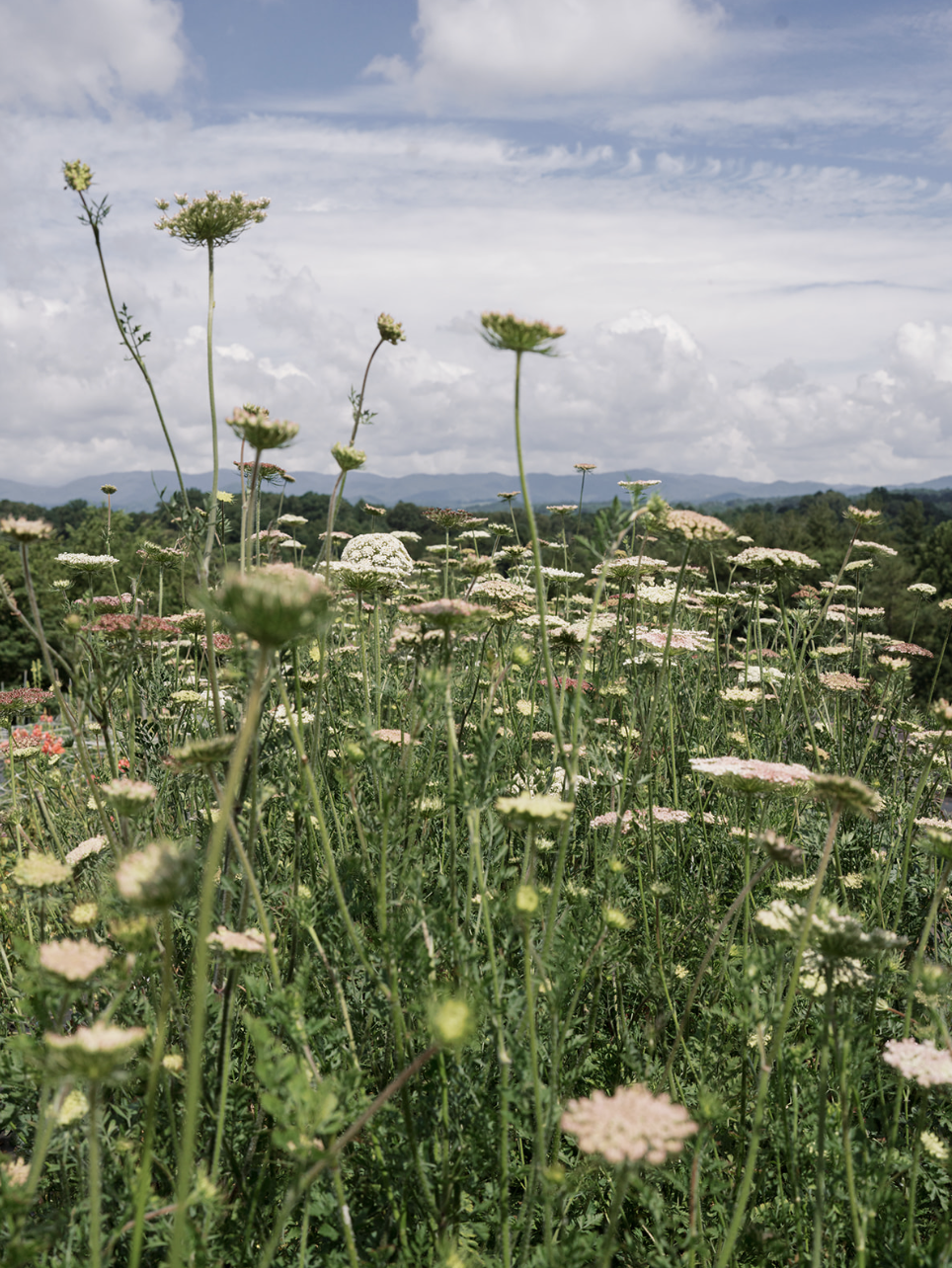 Screenshot 2026-02-24 at 1.41.21 PM.png