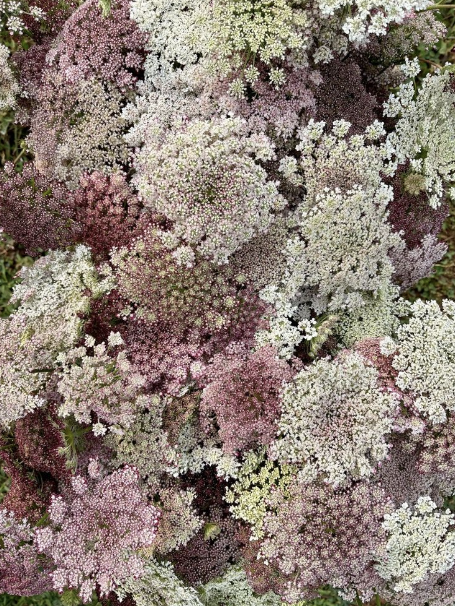 Screenshot 2026-02-24 at 1.41.10 PM.png