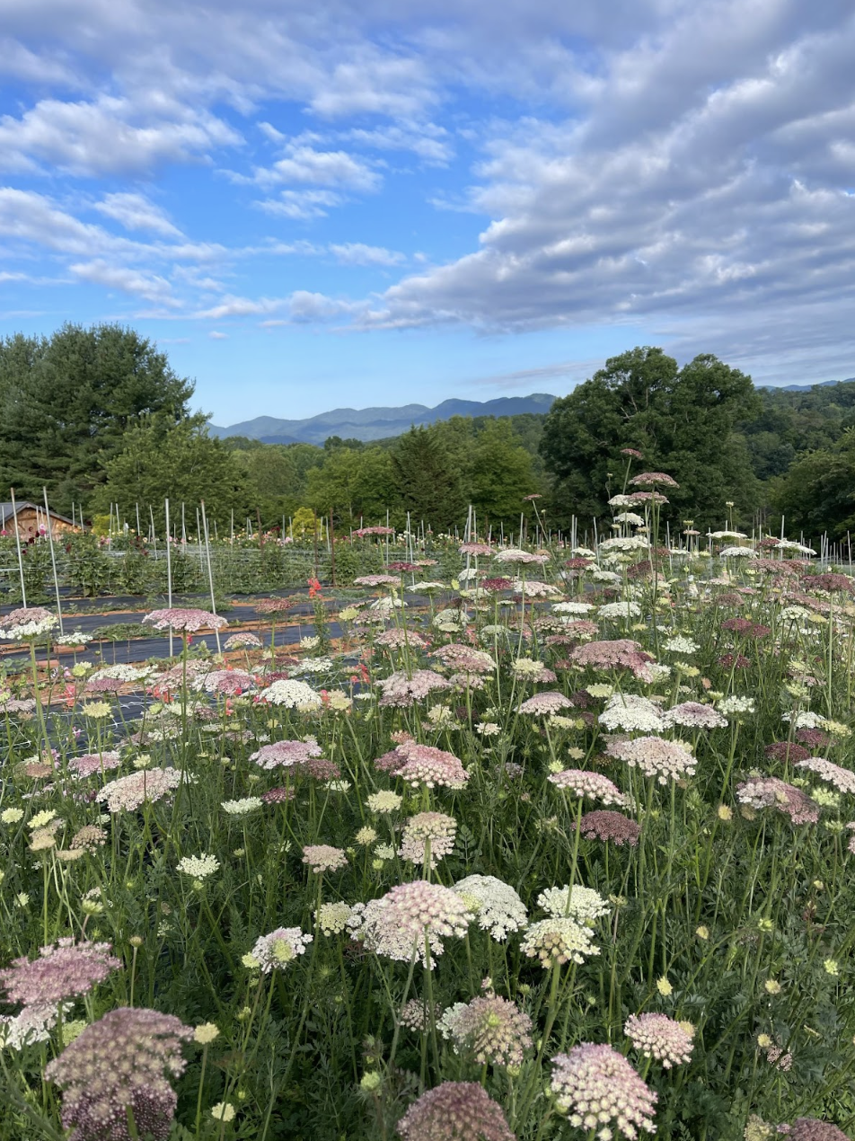 Screenshot 2026-02-24 at 1.41.29 PM.png