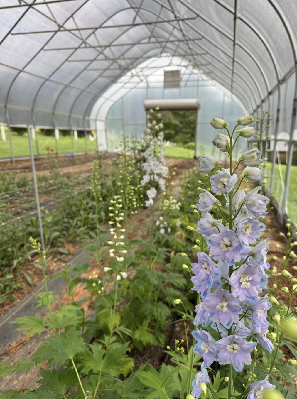 Screenshot 2026-02-24 at 1.43.51 PM.png