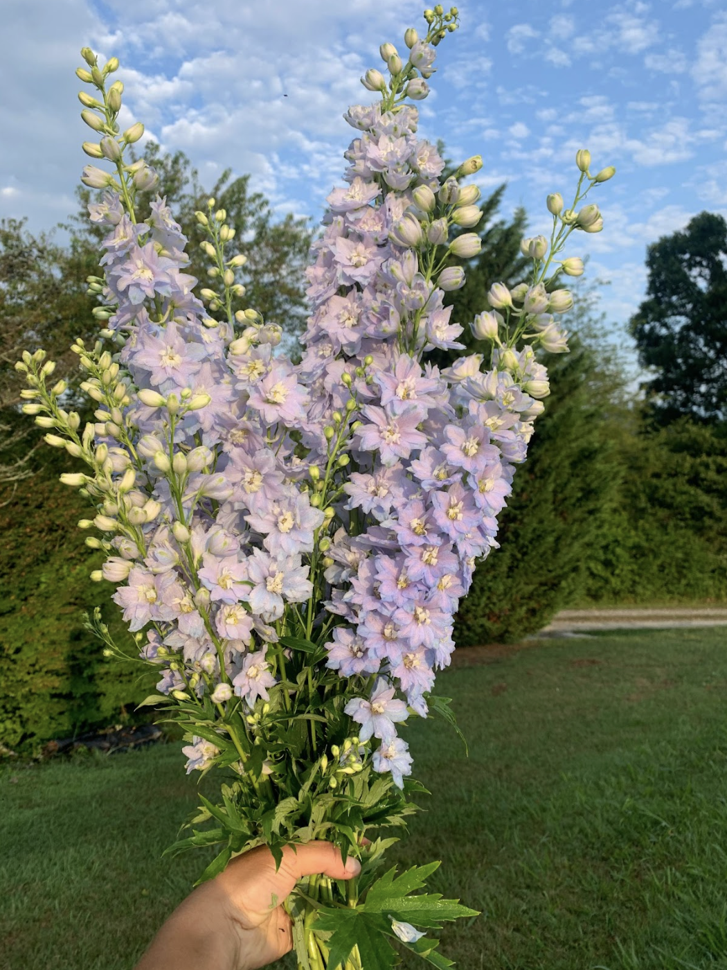 Screenshot 2026-02-24 at 1.44.00 PM.png