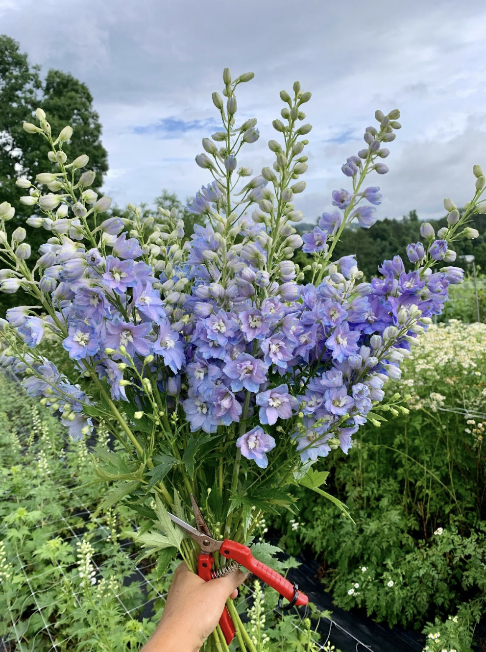 Screenshot 2026-02-24 at 1.44.21 PM.png