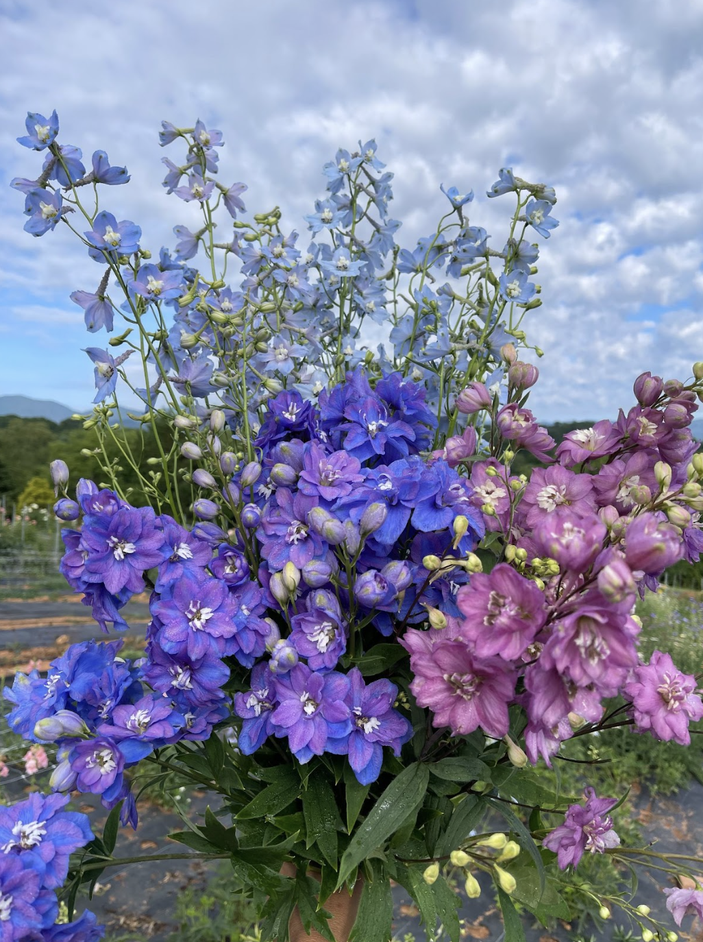 Screenshot 2026-02-24 at 1.44.29 PM.png