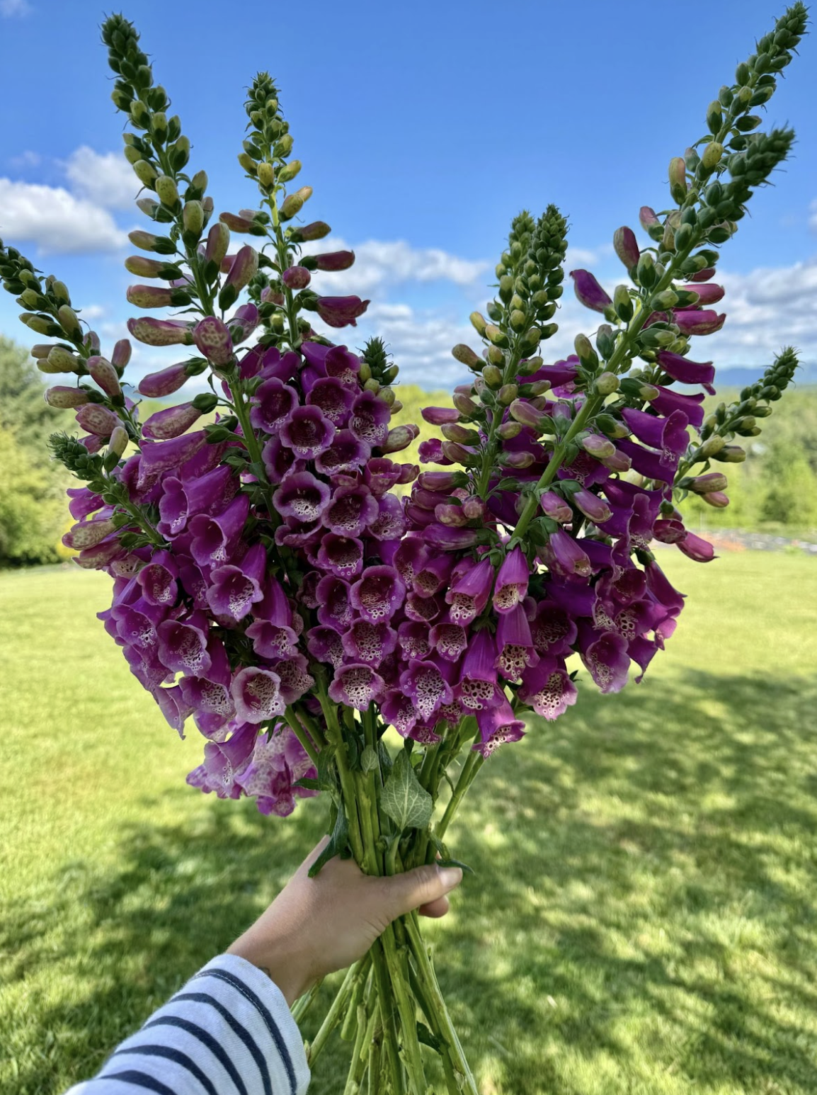 Screenshot 2026-02-24 at 1.46.46 PM.png