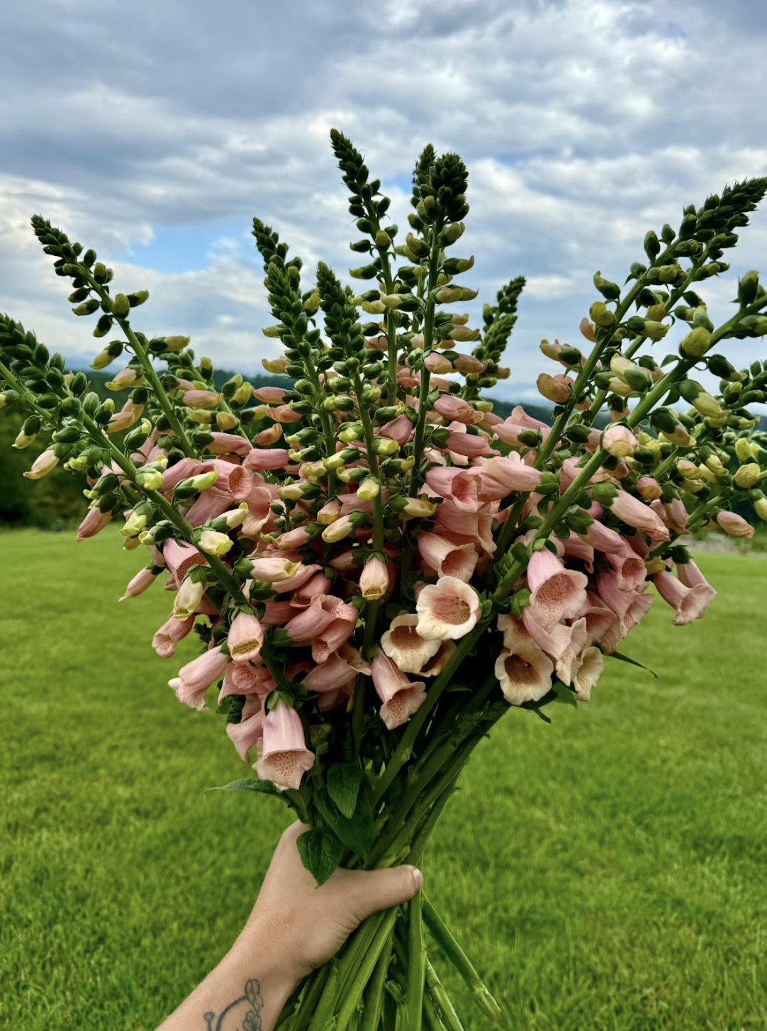 Screenshot 2026-02-24 at 1.47.09 PM.png