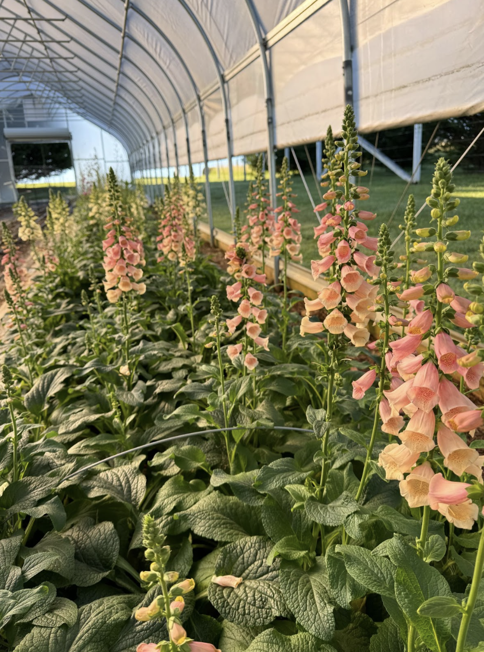 Screenshot 2026-02-24 at 1.47.21 PM.png