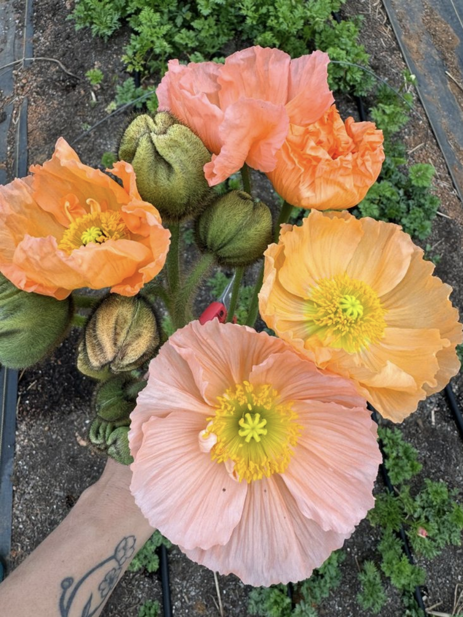 Screenshot 2026-02-24 at 1.49.04 PM.png