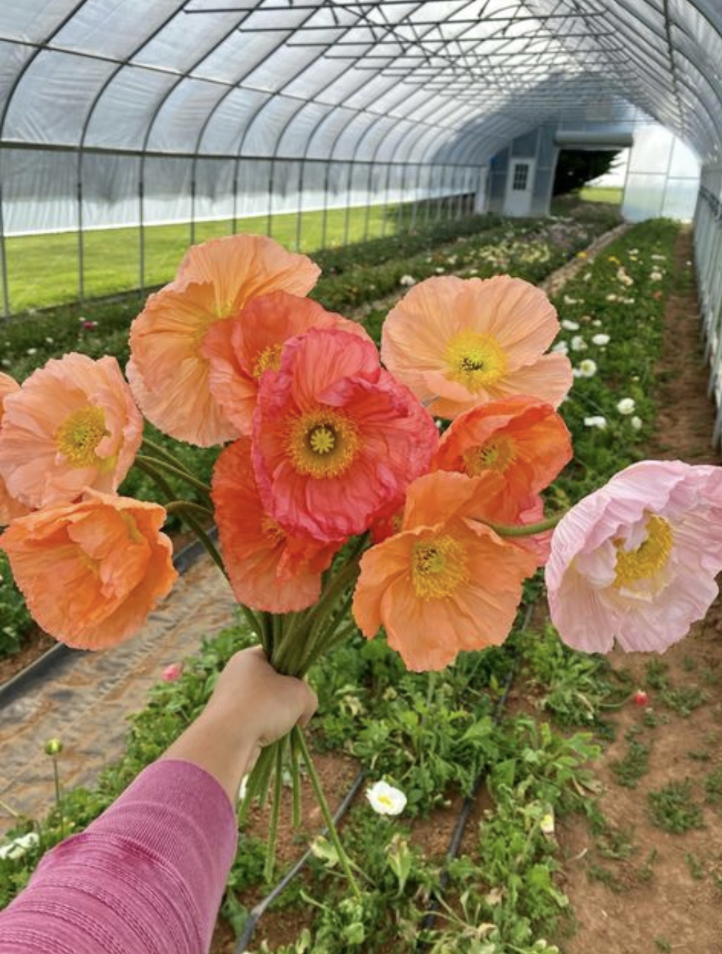 Screenshot 2026-02-24 at 1.49.16 PM.png