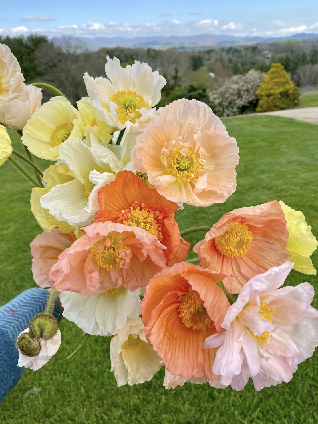 Screenshot 2026-02-24 at 1.49.33 PM.png