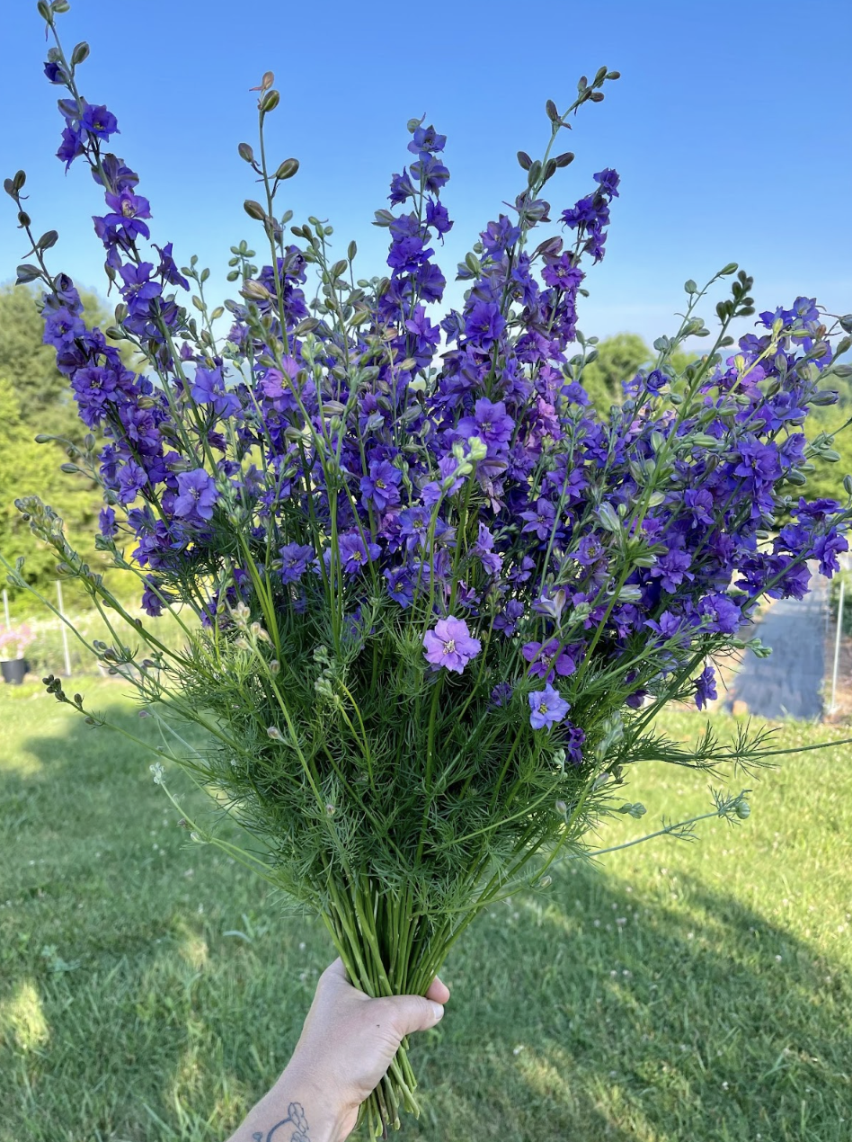 Screenshot 2026-02-24 at 1.52.31 PM.png