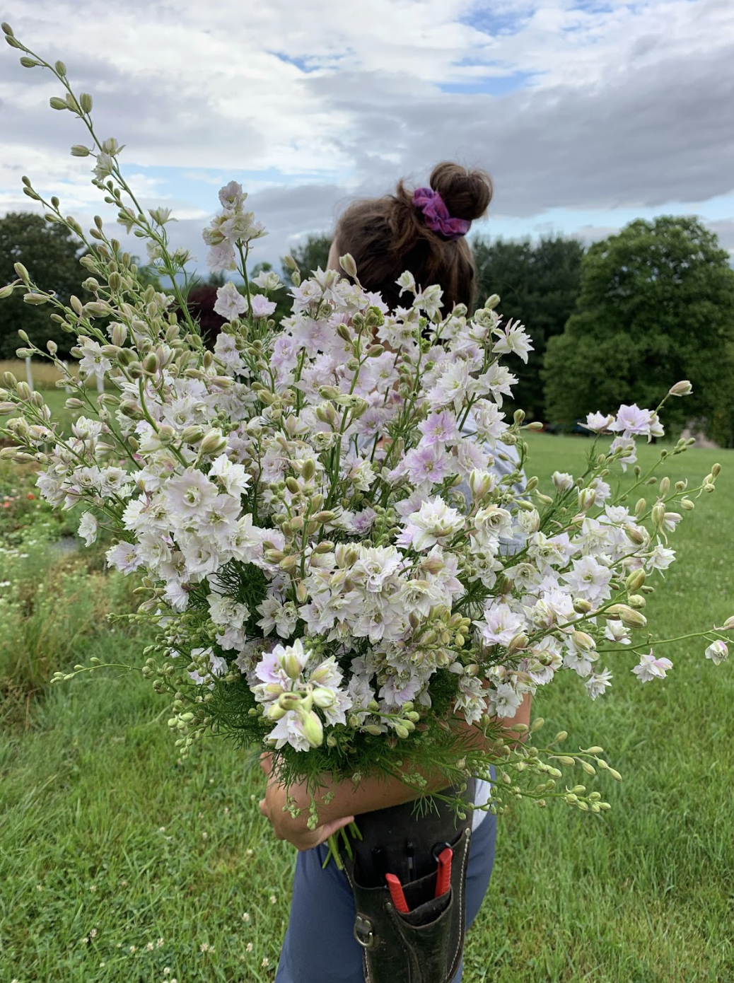 Screenshot 2026-02-24 at 1.52.42 PM.png