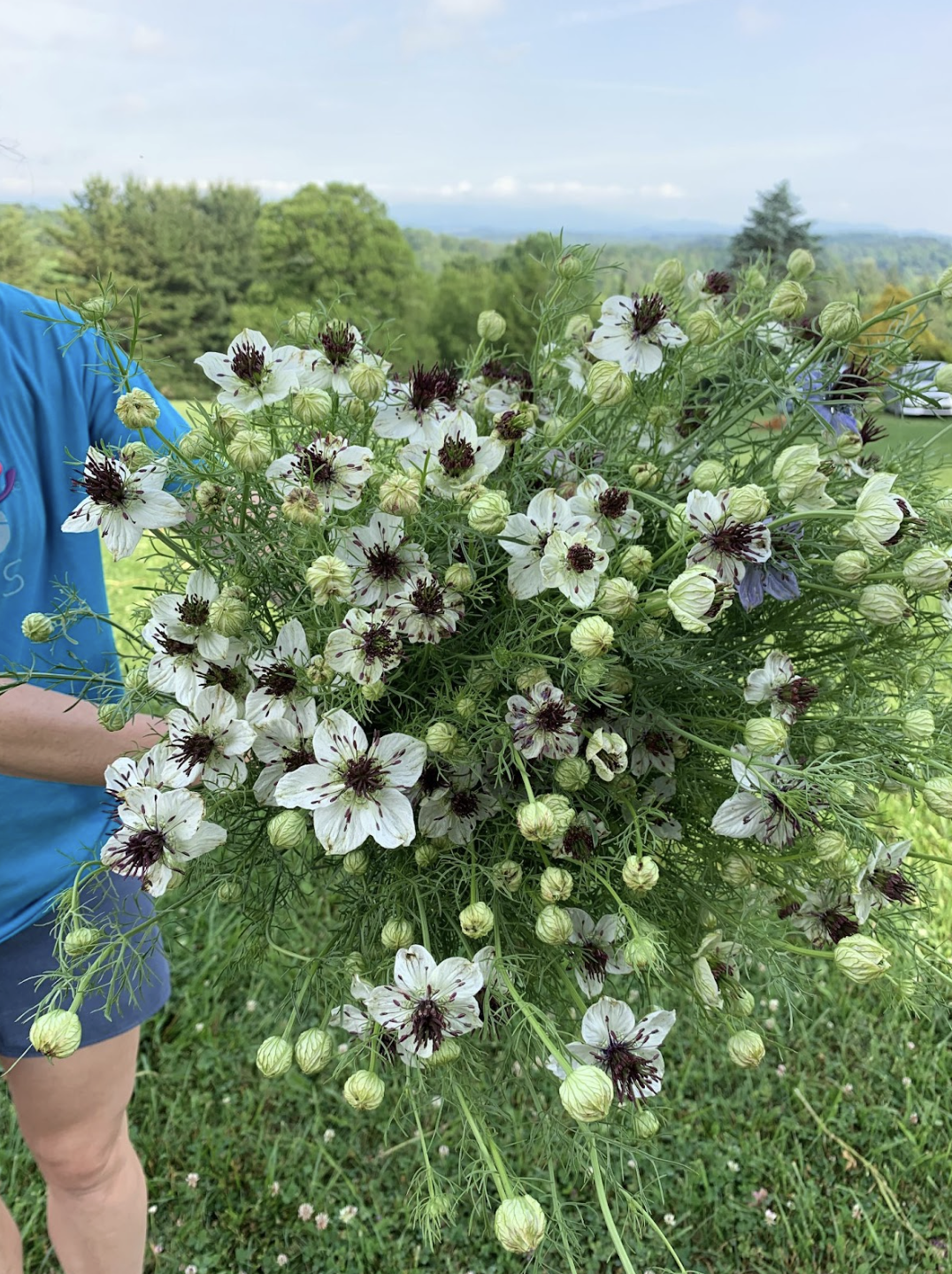 Screenshot 2026-02-24 at 1.53.07 PM.png