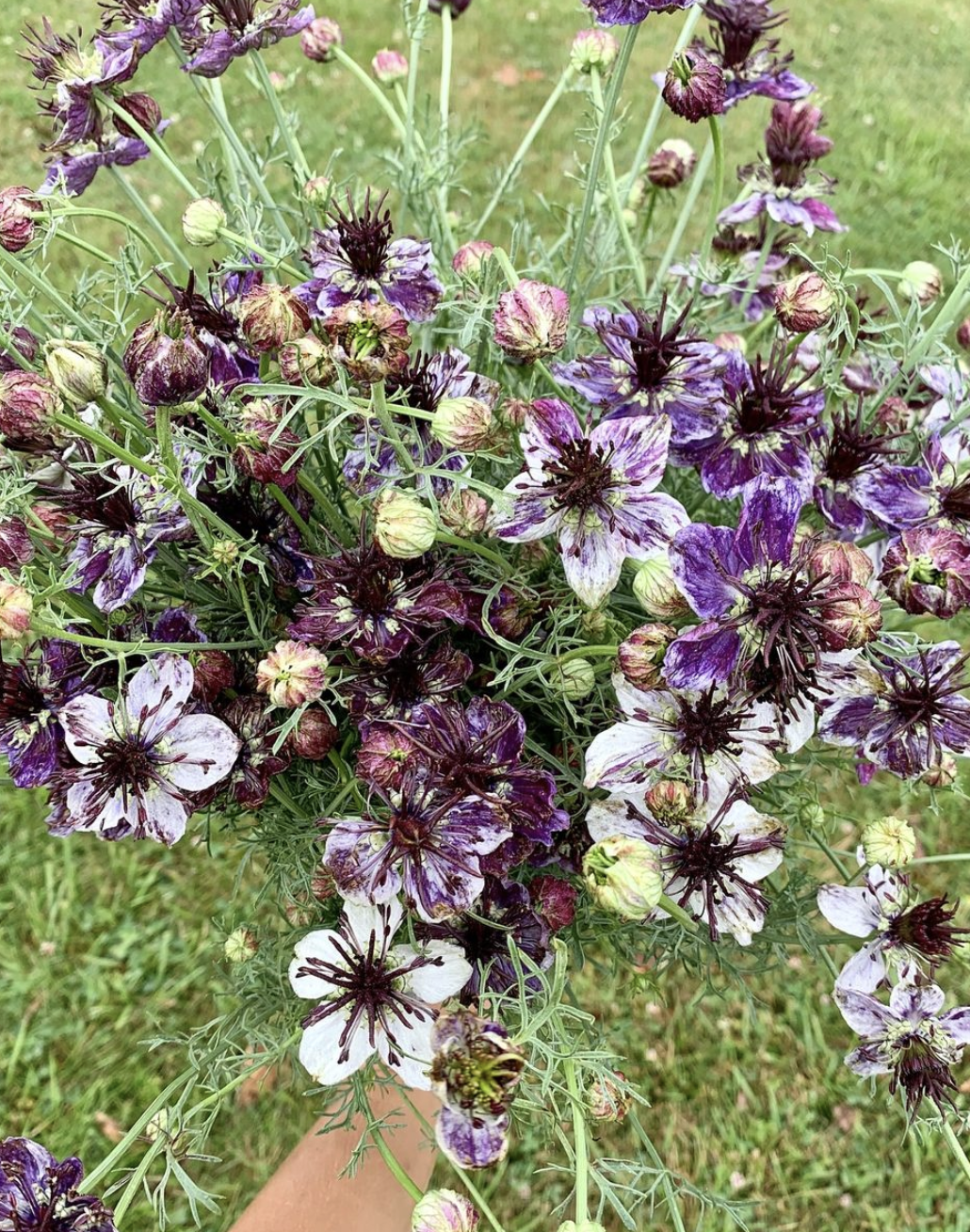 Screenshot 2026-02-24 at 1.52.55 PM.png