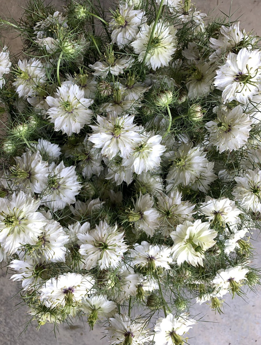 Screenshot 2026-02-24 at 1.53.16 PM.png