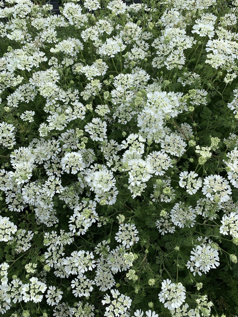 Screenshot 2026-02-24 at 1.53.25 PM.png