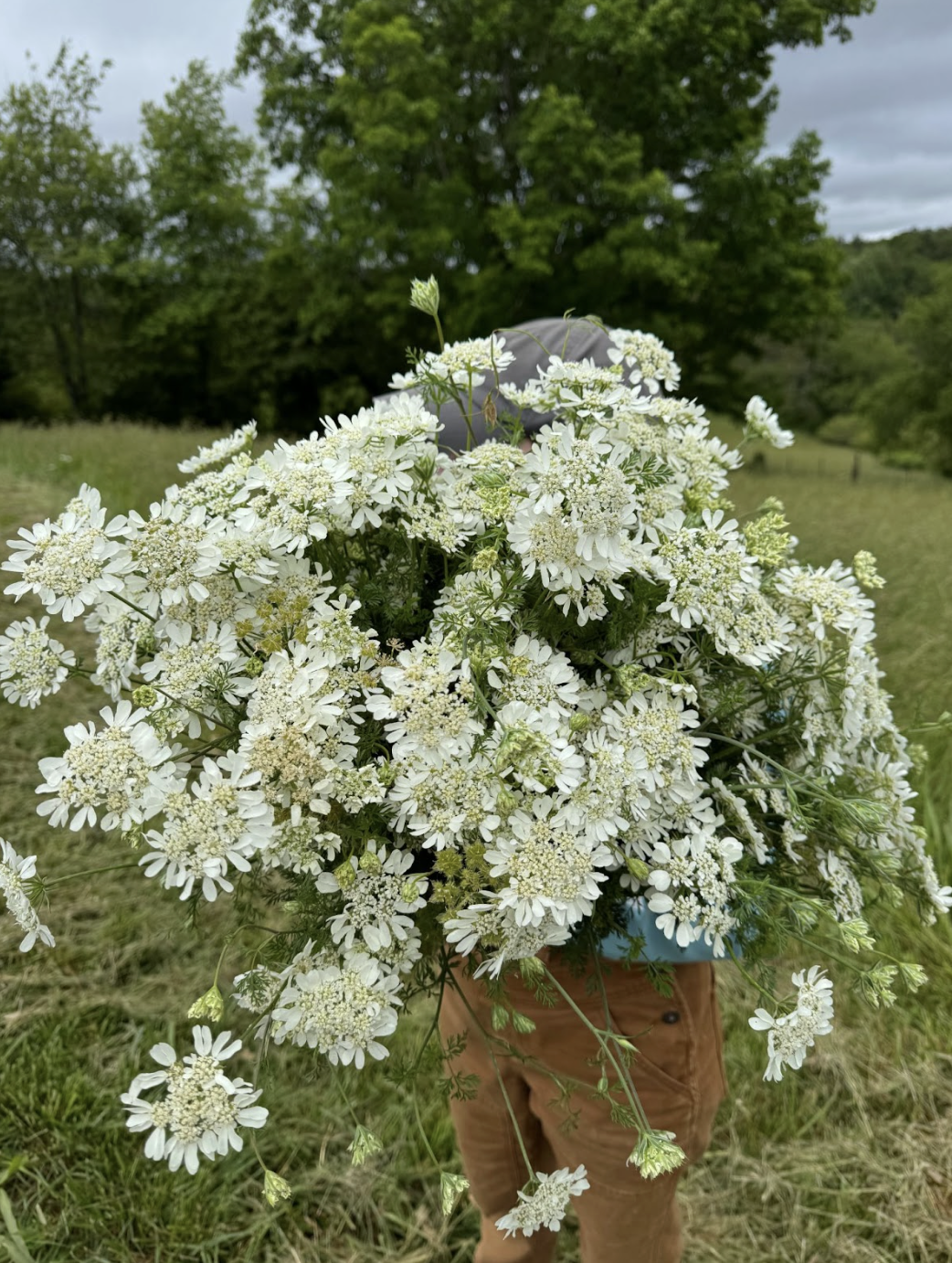 Screenshot 2026-02-24 at 1.53.35 PM.png