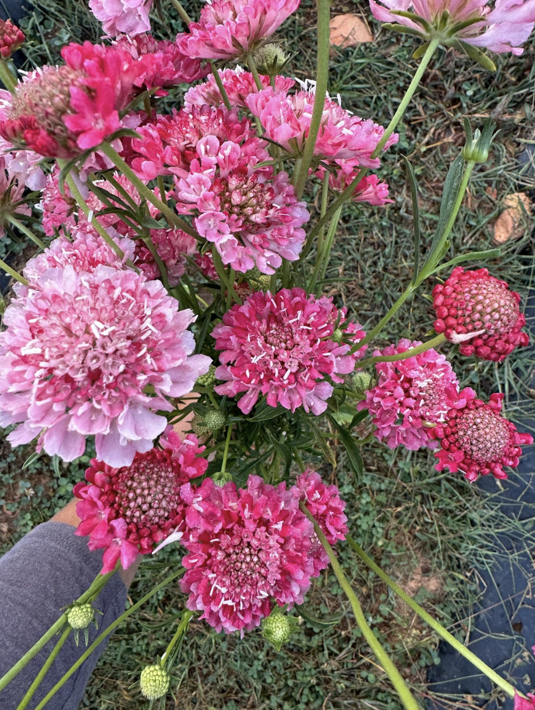 Screenshot 2026-02-24 at 1.53.45 PM.png