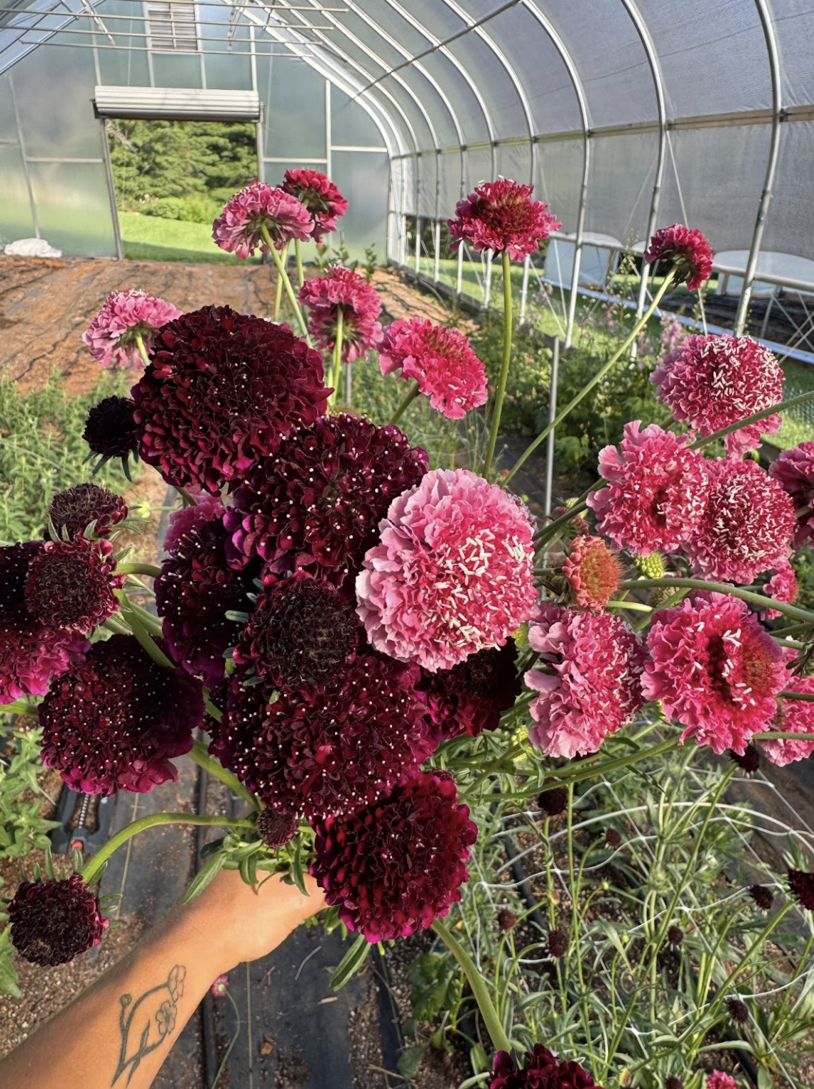 Screenshot 2026-02-24 at 1.54.05 PM.png