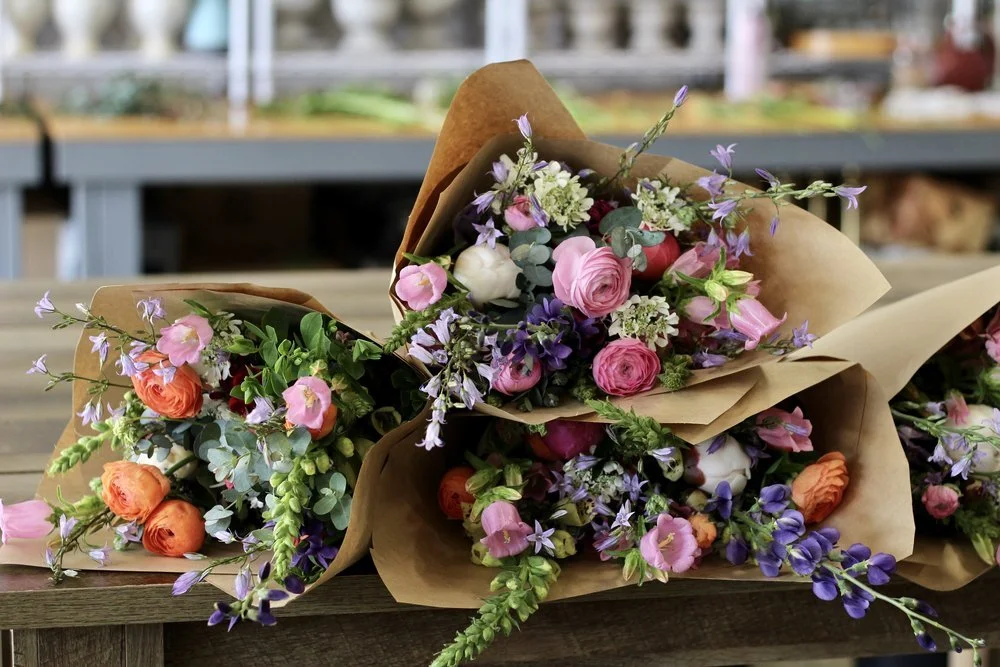 Seeds to Start Now for Spring Flowers