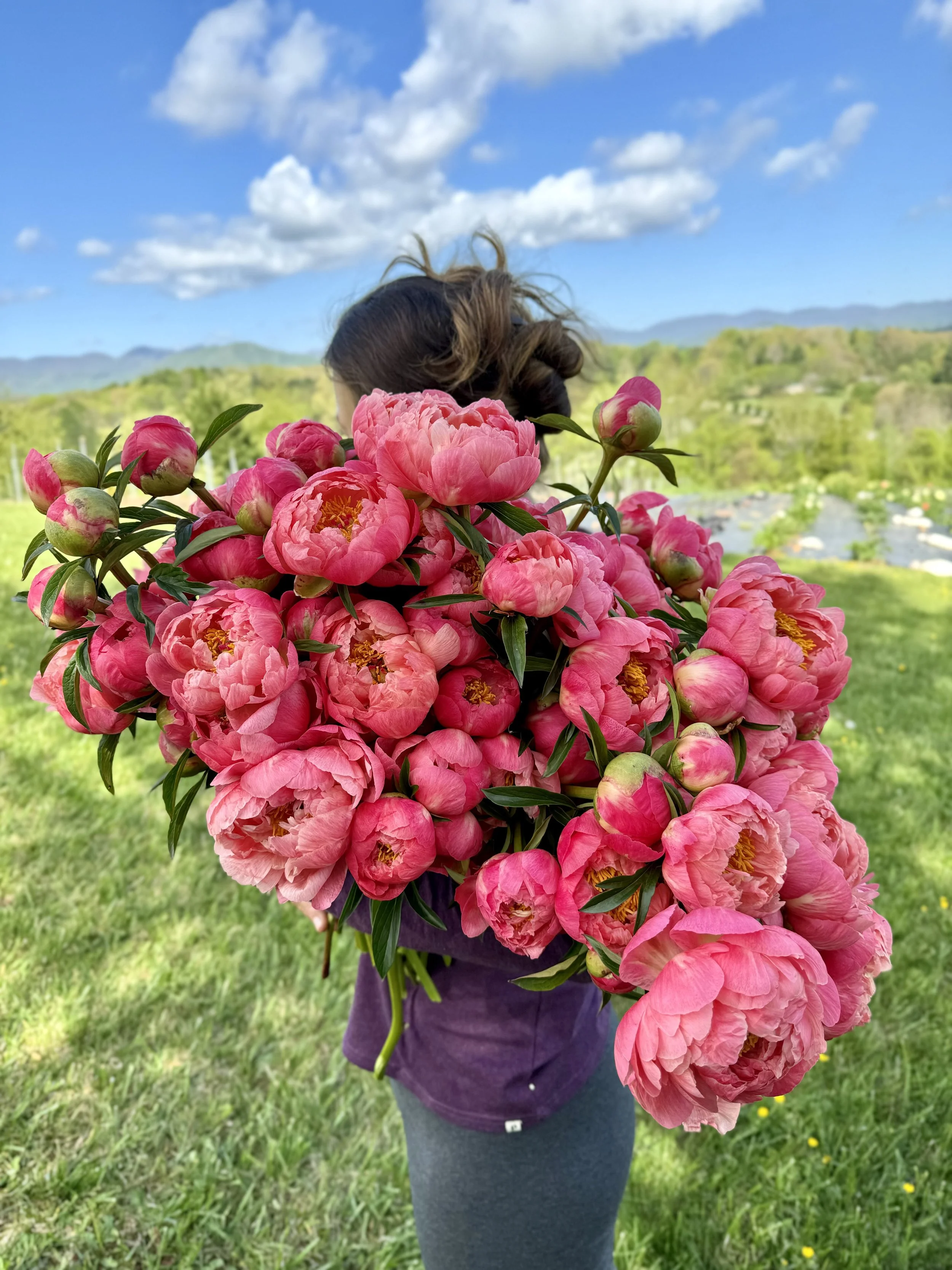 Our Top 5 Spring-Blooming Perennials to Grow for Flower Farmers &amp; Farmer Florists