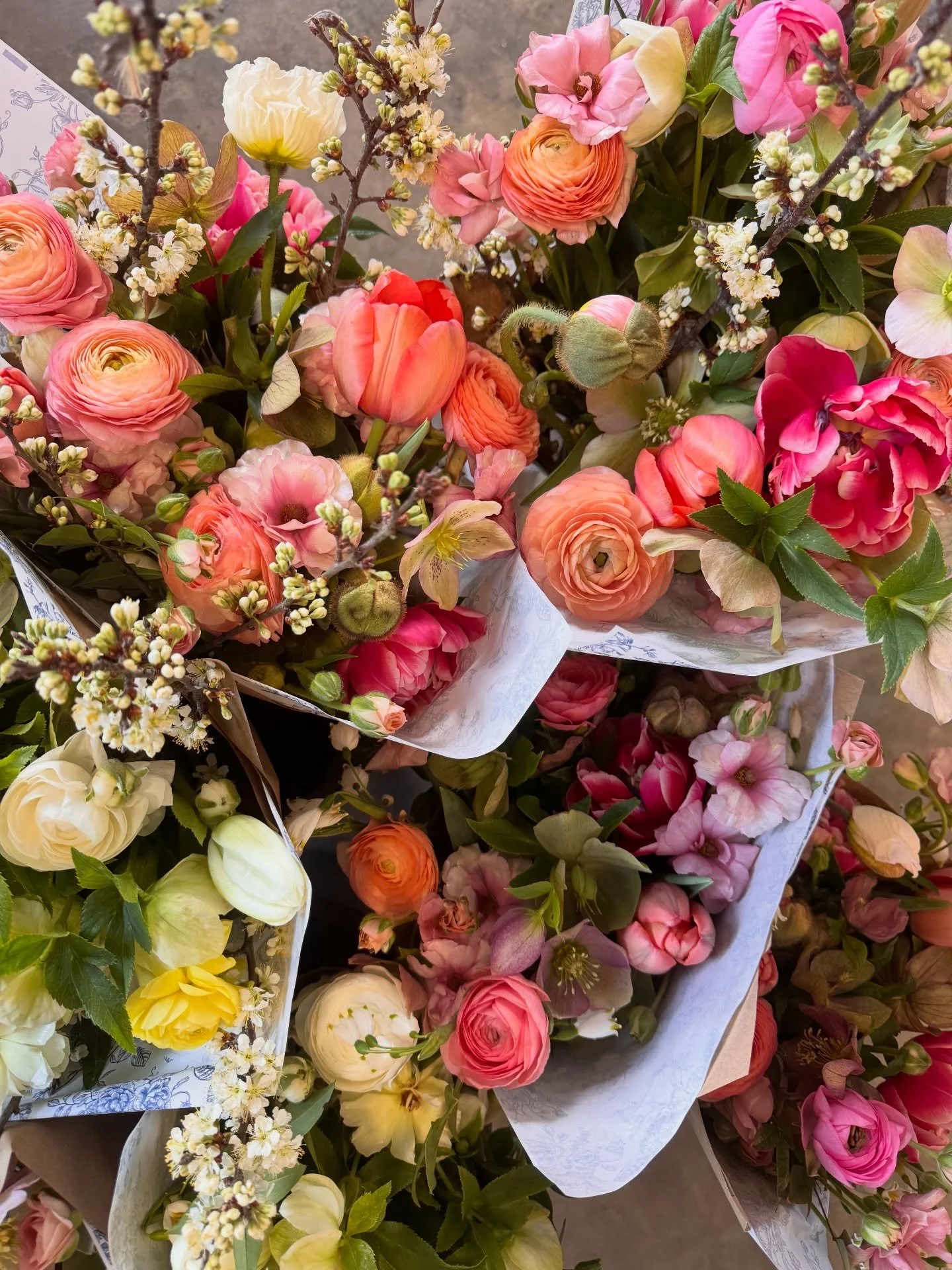 Spring flowers are at the Farmstand! 

There&rsquo;s just something about fresh flowers&hellip; the way they lift your mood, brighten a space, and make even an ordinary day feel a bit more special.

Stop by the Farmstand tomorrow (Saturday 4/4) and t
