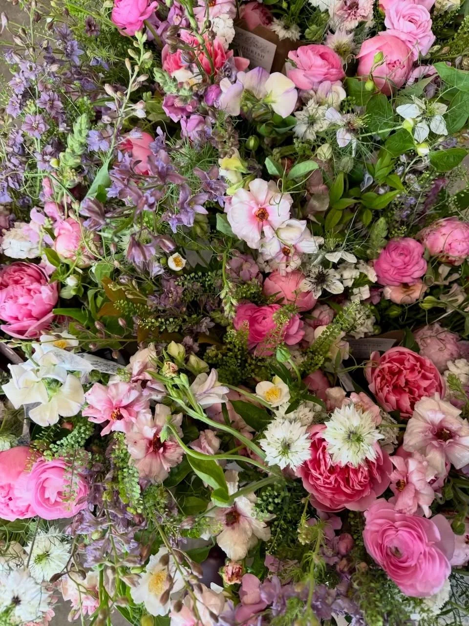 The past several weeks have been a beautiful blur 💫
The peonies bloomed early and were more prolific than ever. The perennials around the farm and the flowers that we planted in our tunnels last fall have been blooming like crazy. We hosted several 