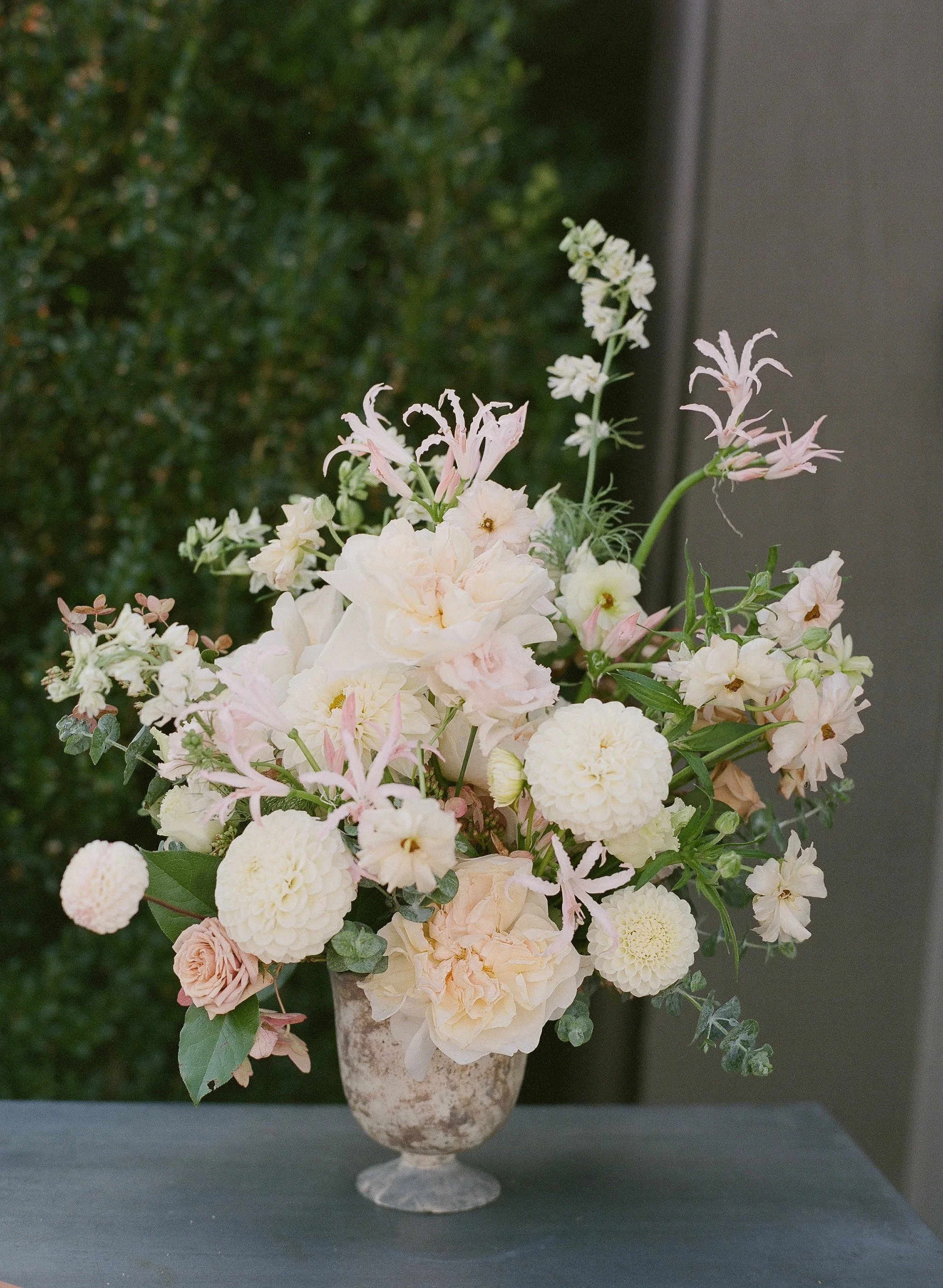 Almond Leaf Studios_CourtneyJackFilm-0115.jpg