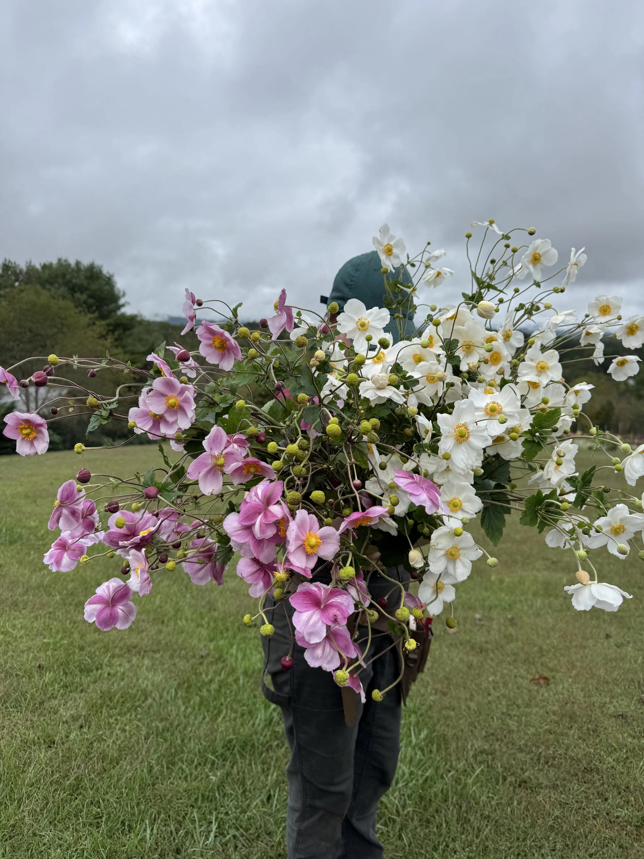IMG_9750.jpeg