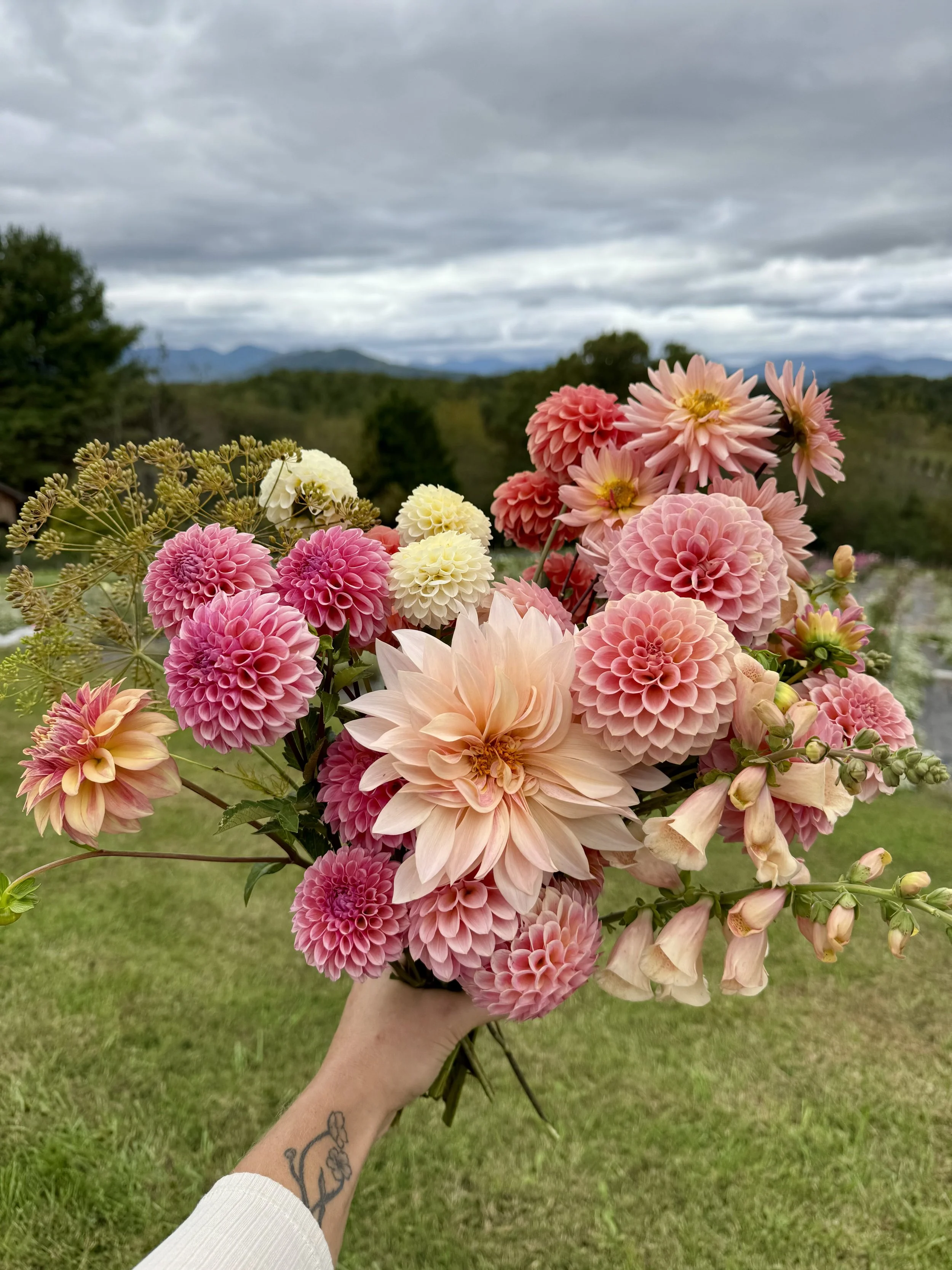 Oct flowers.jpeg