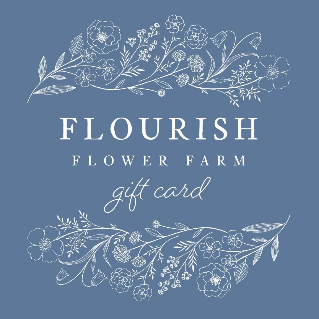 Gift Certificate.jpg