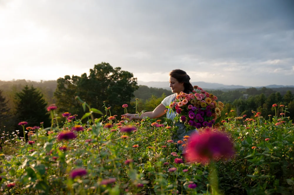 Our Top 5 Summer-Blooming Perennials to Grow for Flower Farmers and Farmer Florists 
