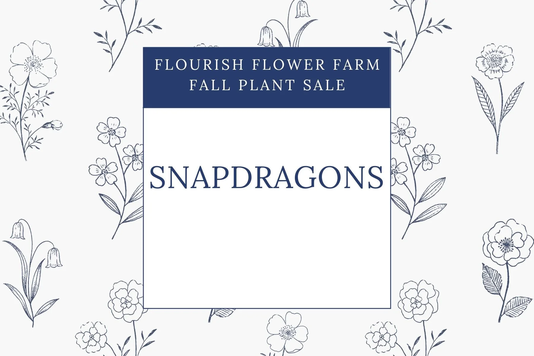 Copy of FLOURISH FLOWER FARM (2).jpg