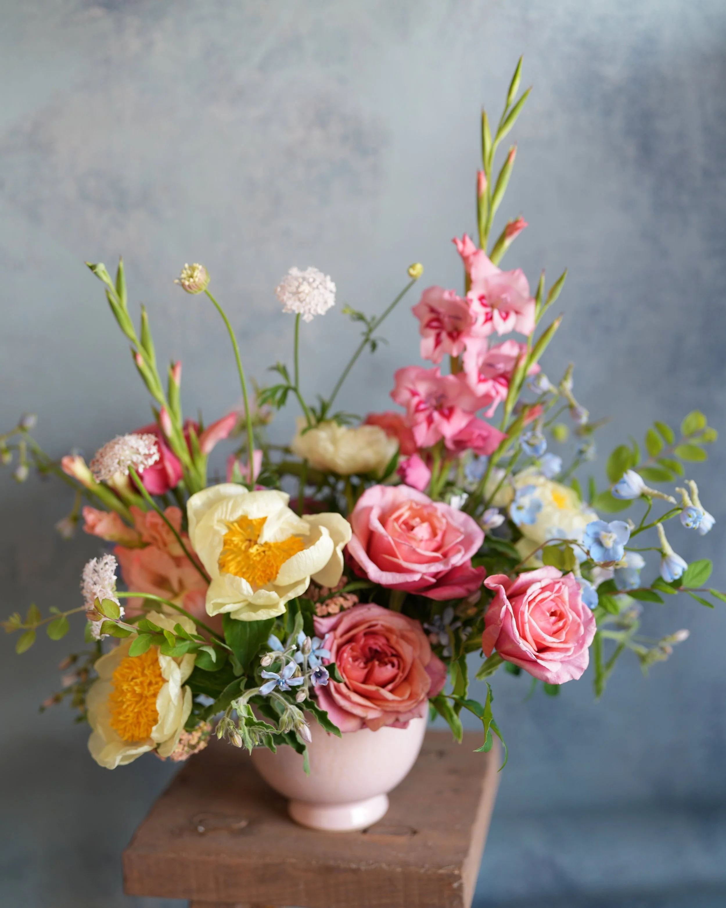 DSC01535.jpg
