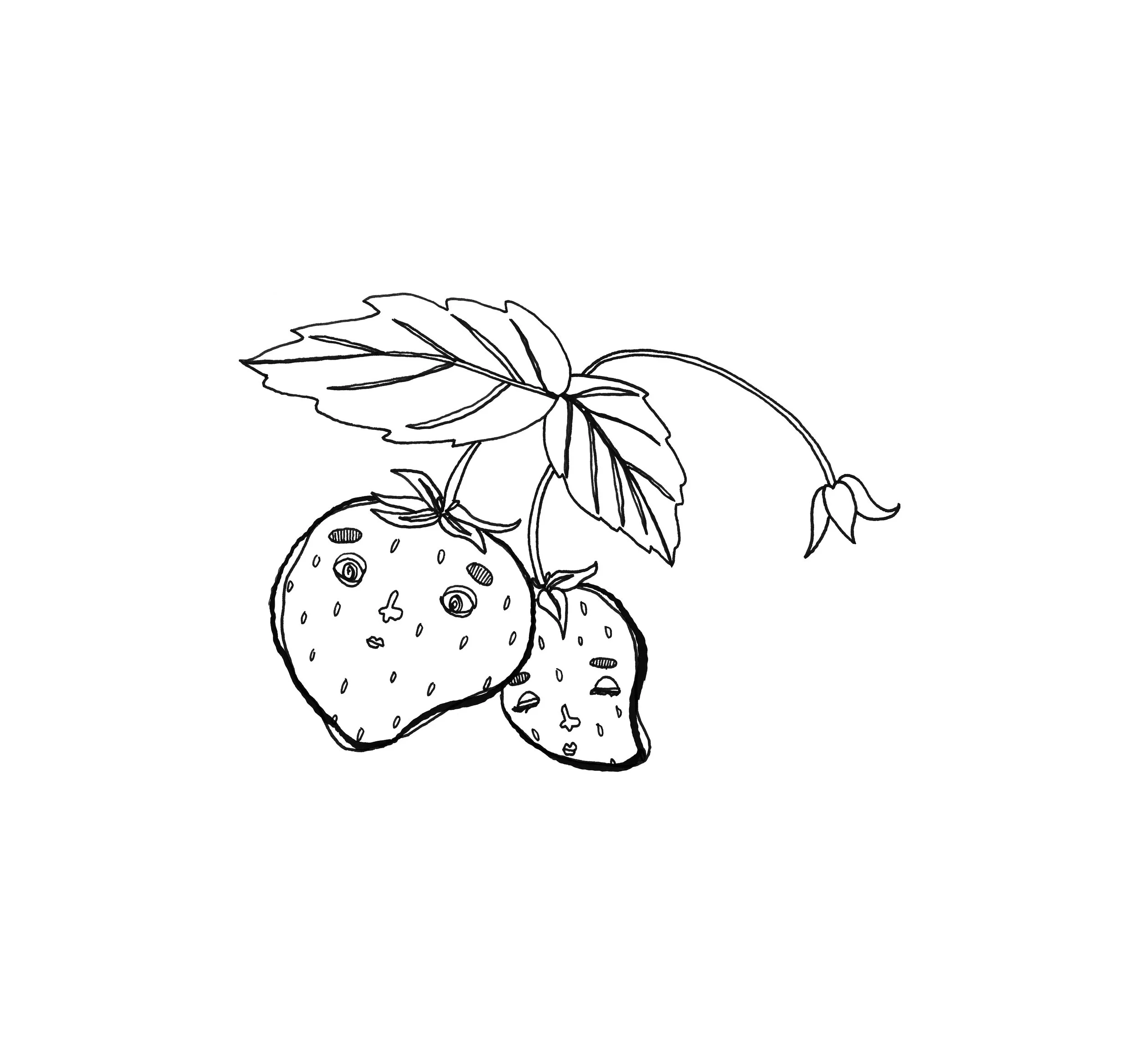 strawberry.jpg