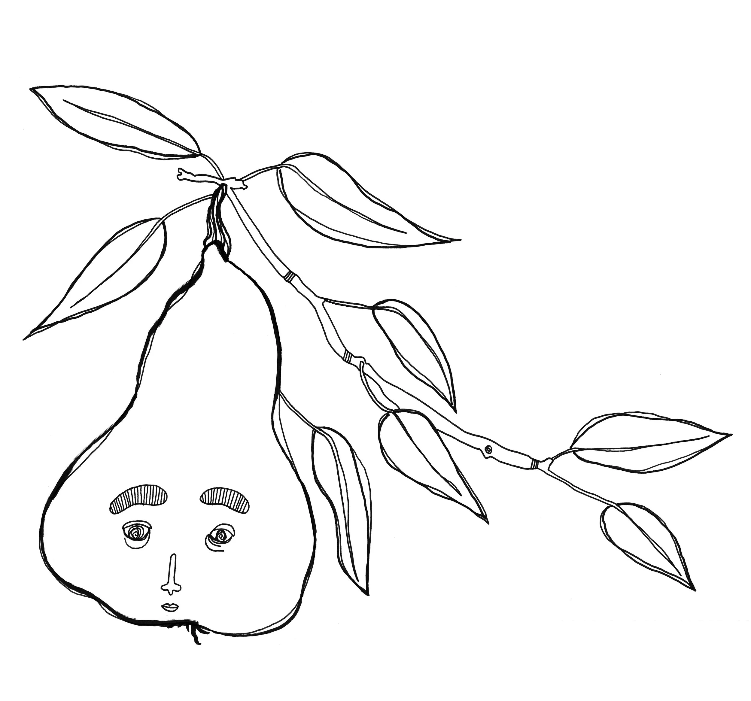 pear.jpg