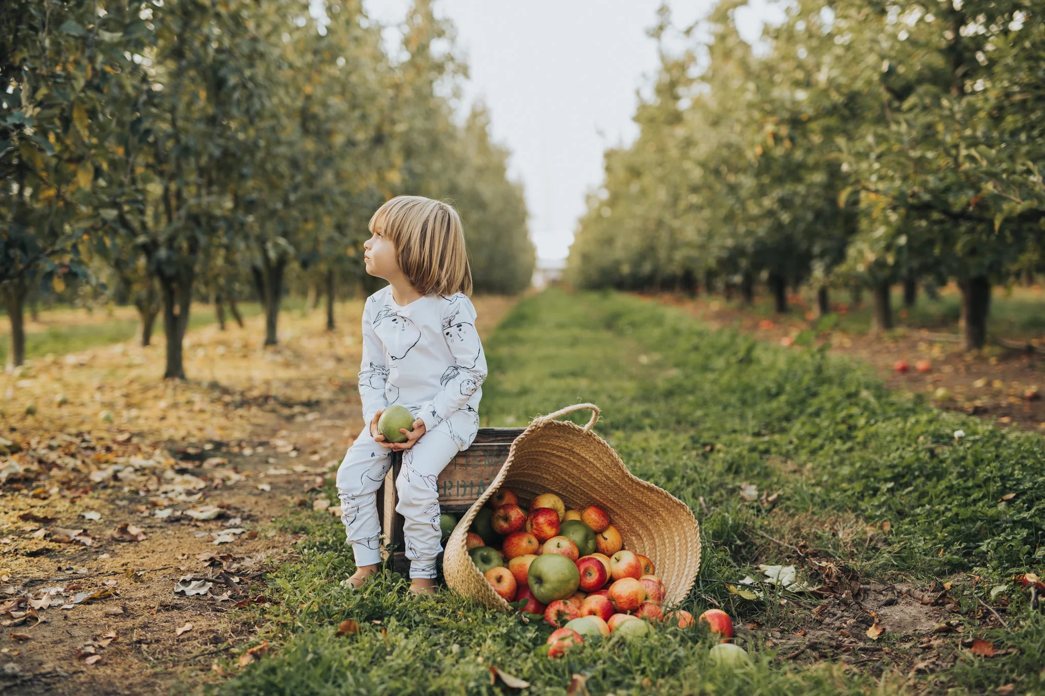 GNancy_FruitSalad-68 (1).jpg